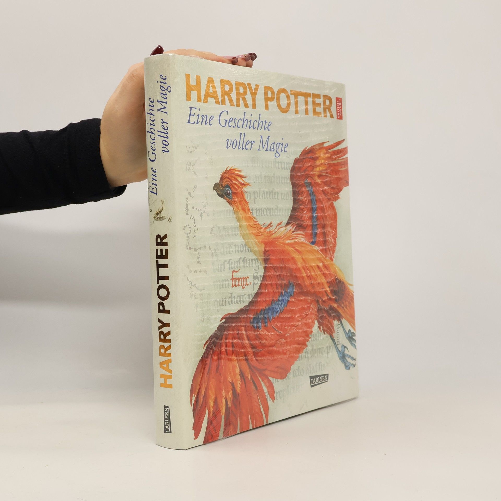 Karlheinz Dürr Harry Potter: eine Geschichte voller Magie