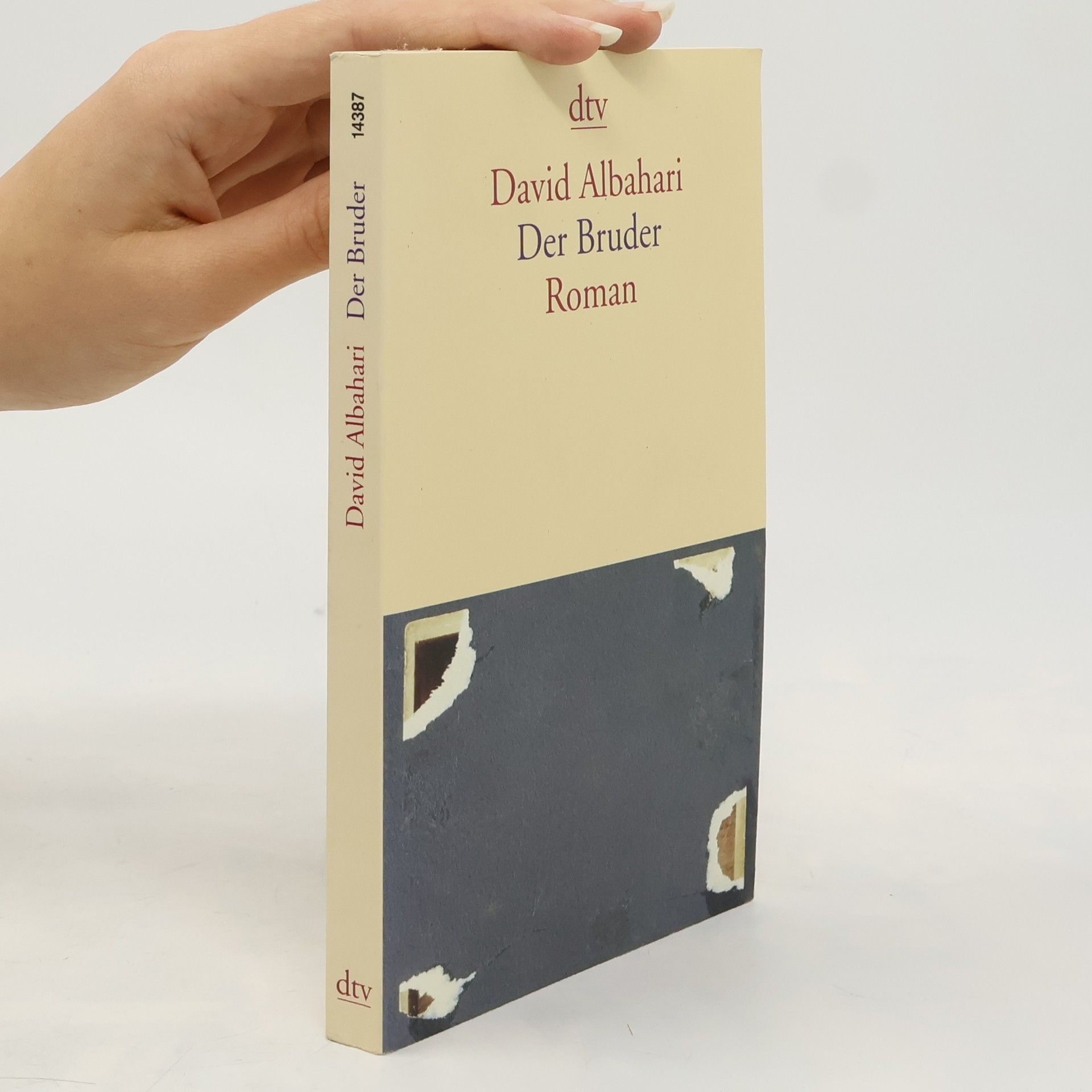 David Albahari Der Bruder