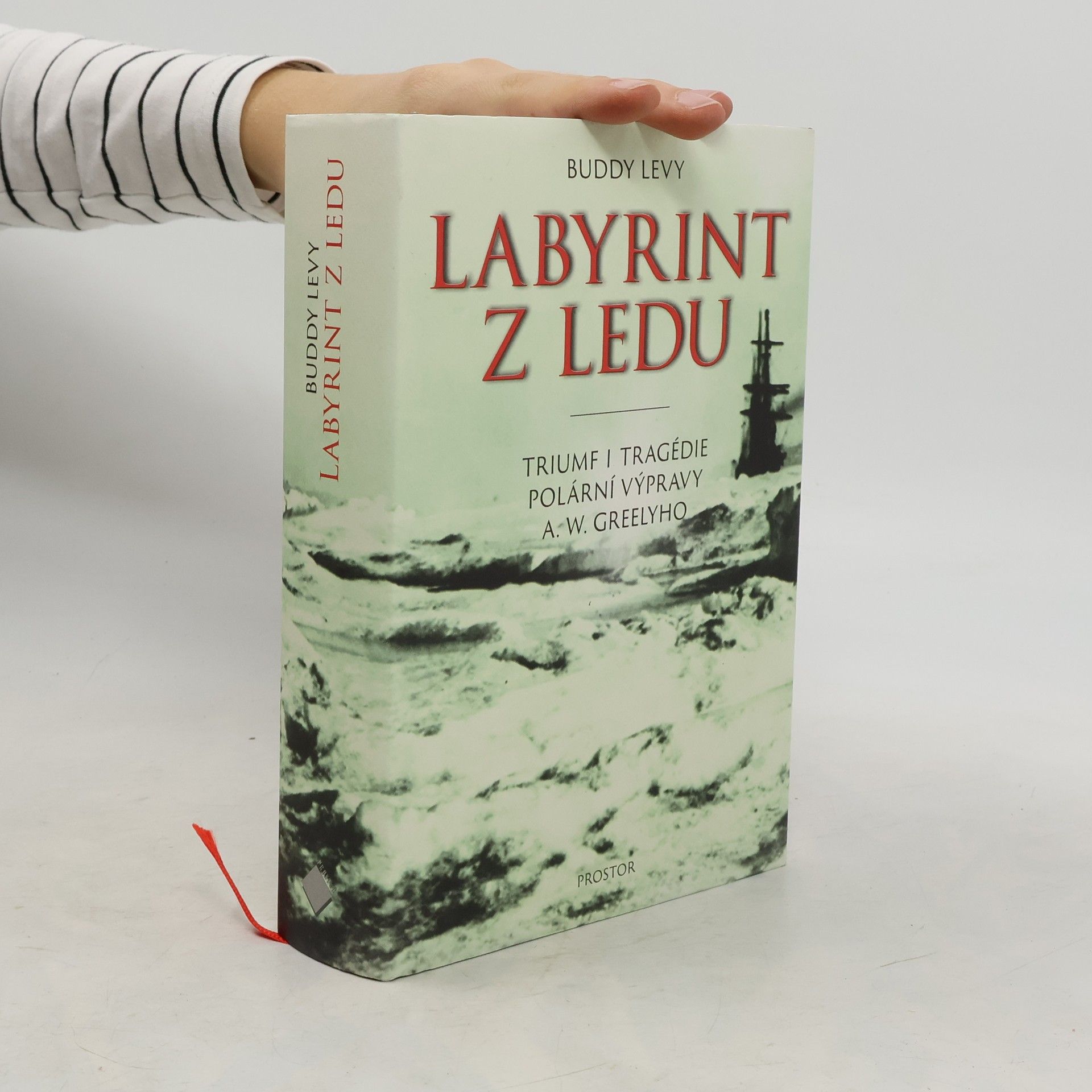 Buddy Levy Labyrint z ledu