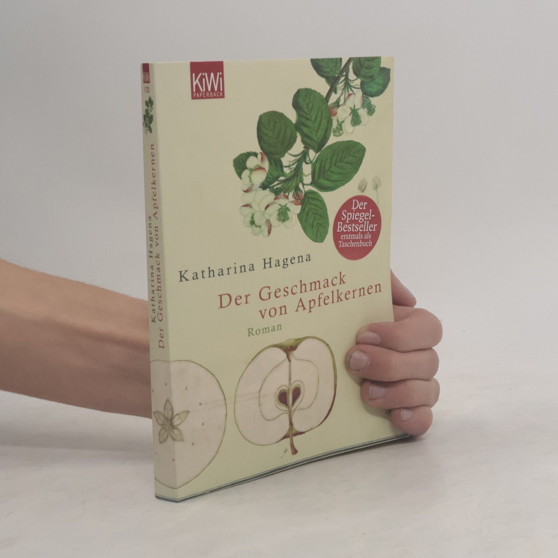 Katharina Hagena Der Geschmack von Apfelkernen