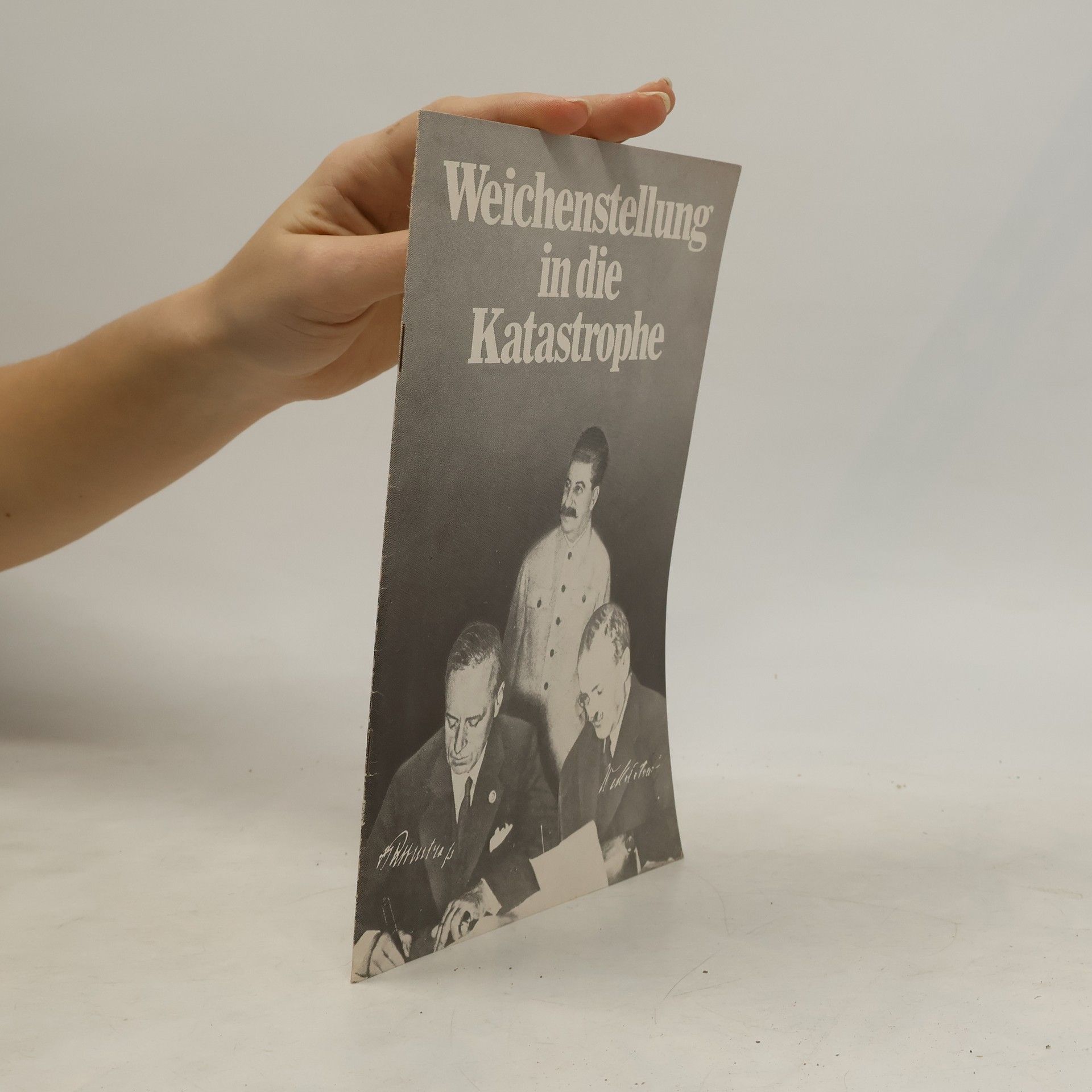 Weichenstellung in die Katastrophe