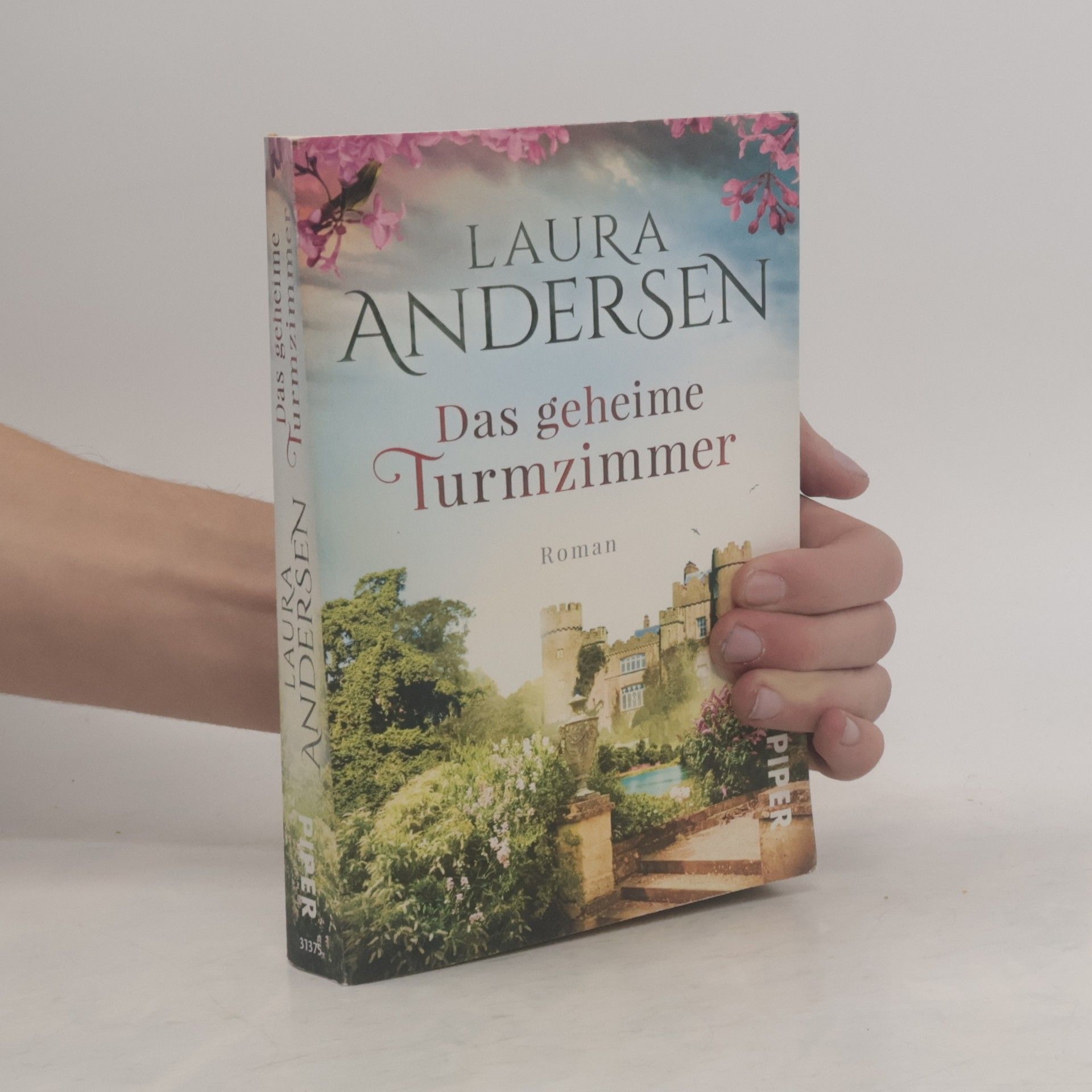 Laura Andersen Das geheime Turmzimmer