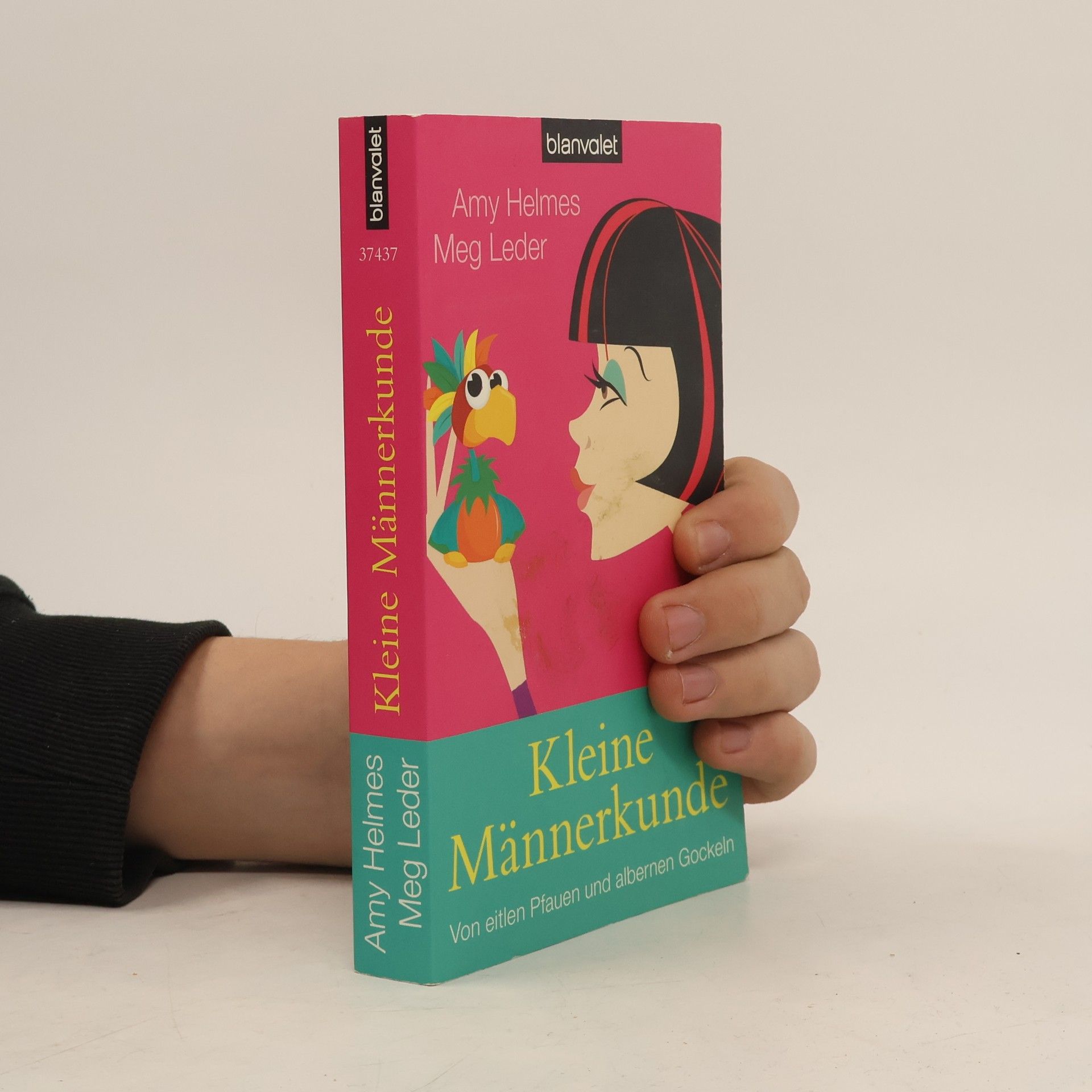 Amy Helmes Kleine Männerkunde