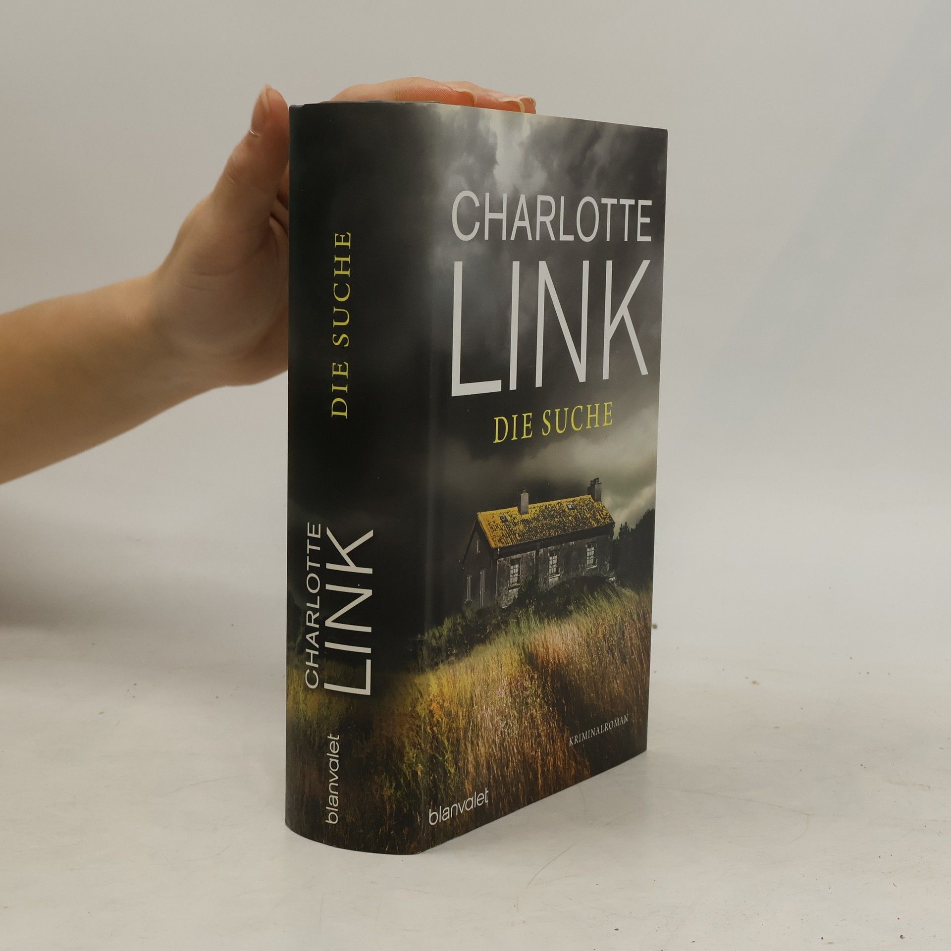 Charlotte Link Die Suche