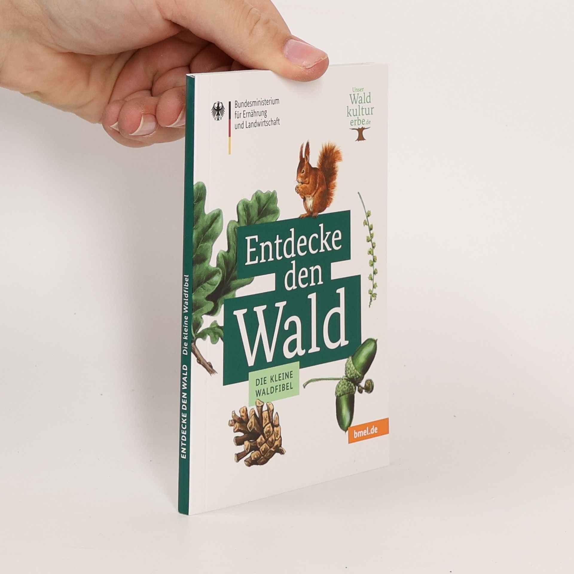 Autorenkollektiv Entdecke den Wald. Die kleine Waldfibel