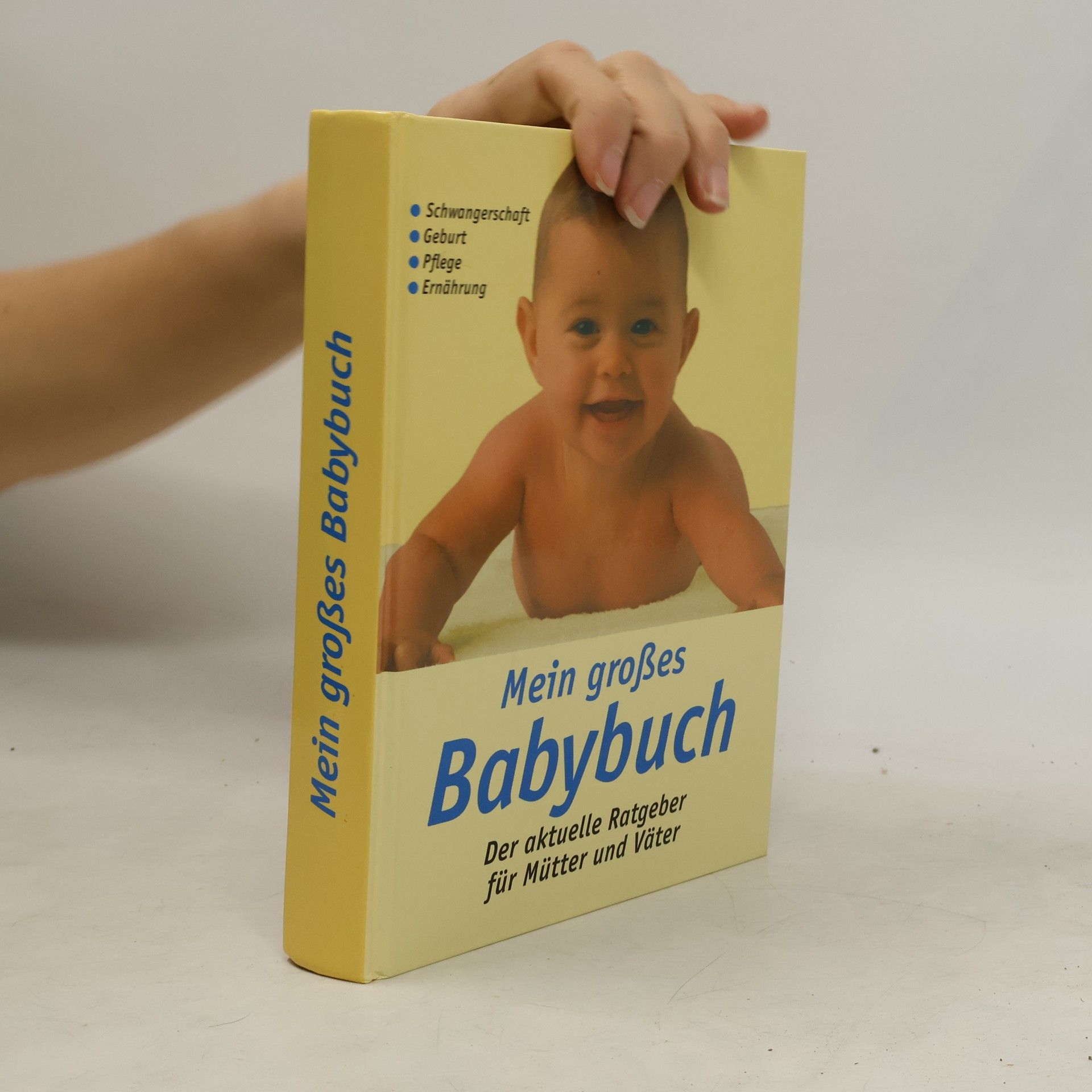 Collectif d'auteurs Mein großes Babybuch