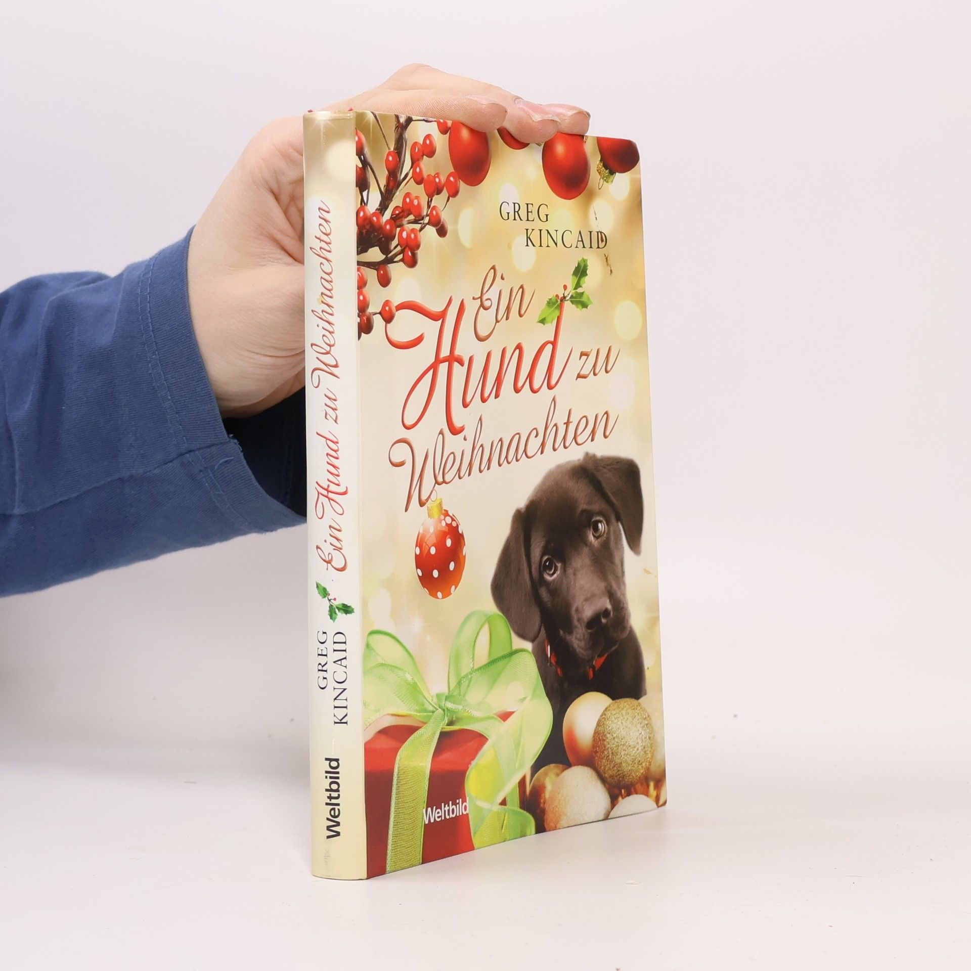 Ein Hund zu Weihnachten