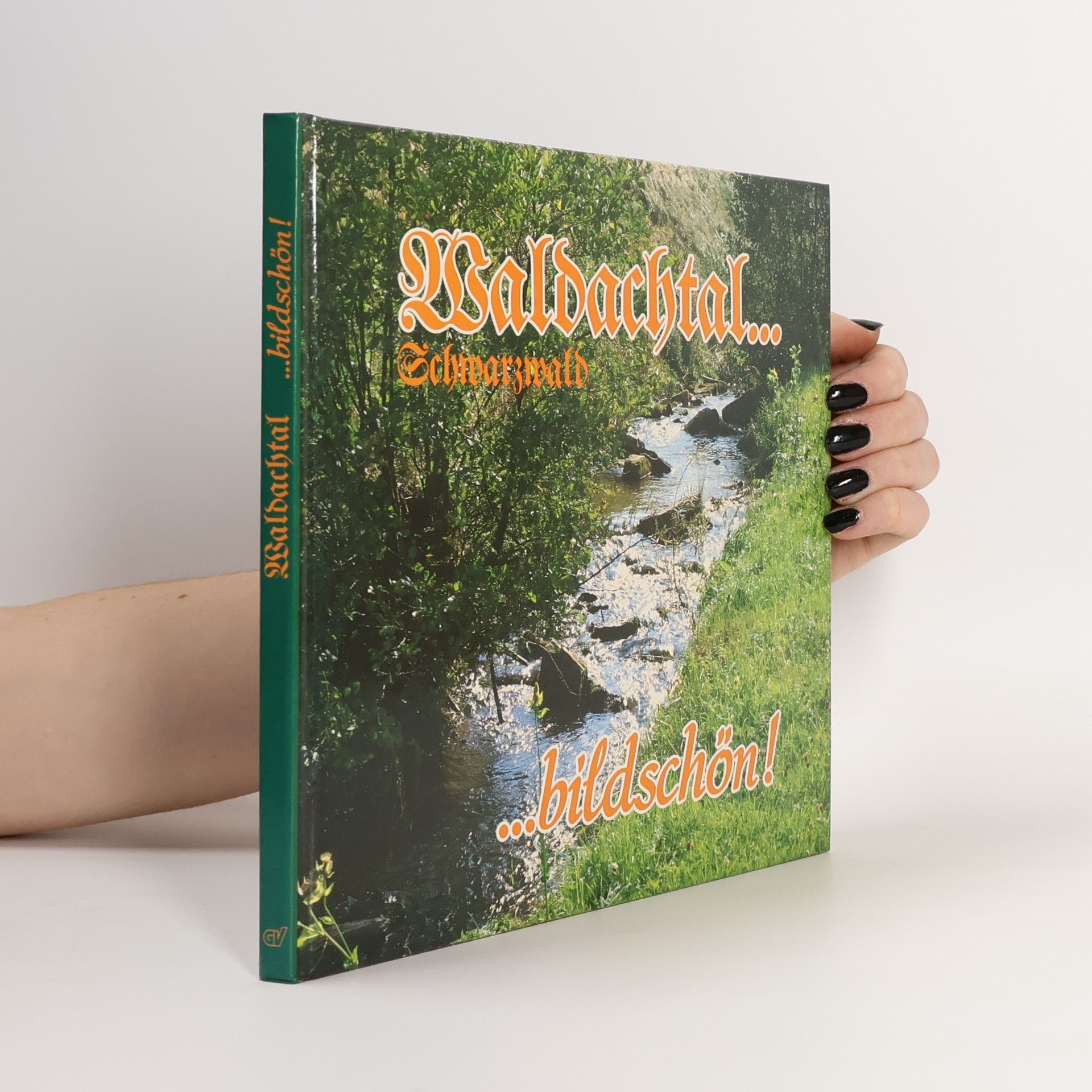 Manfred Meyer Waldachtal ... Schwarzwald ... bildschön!