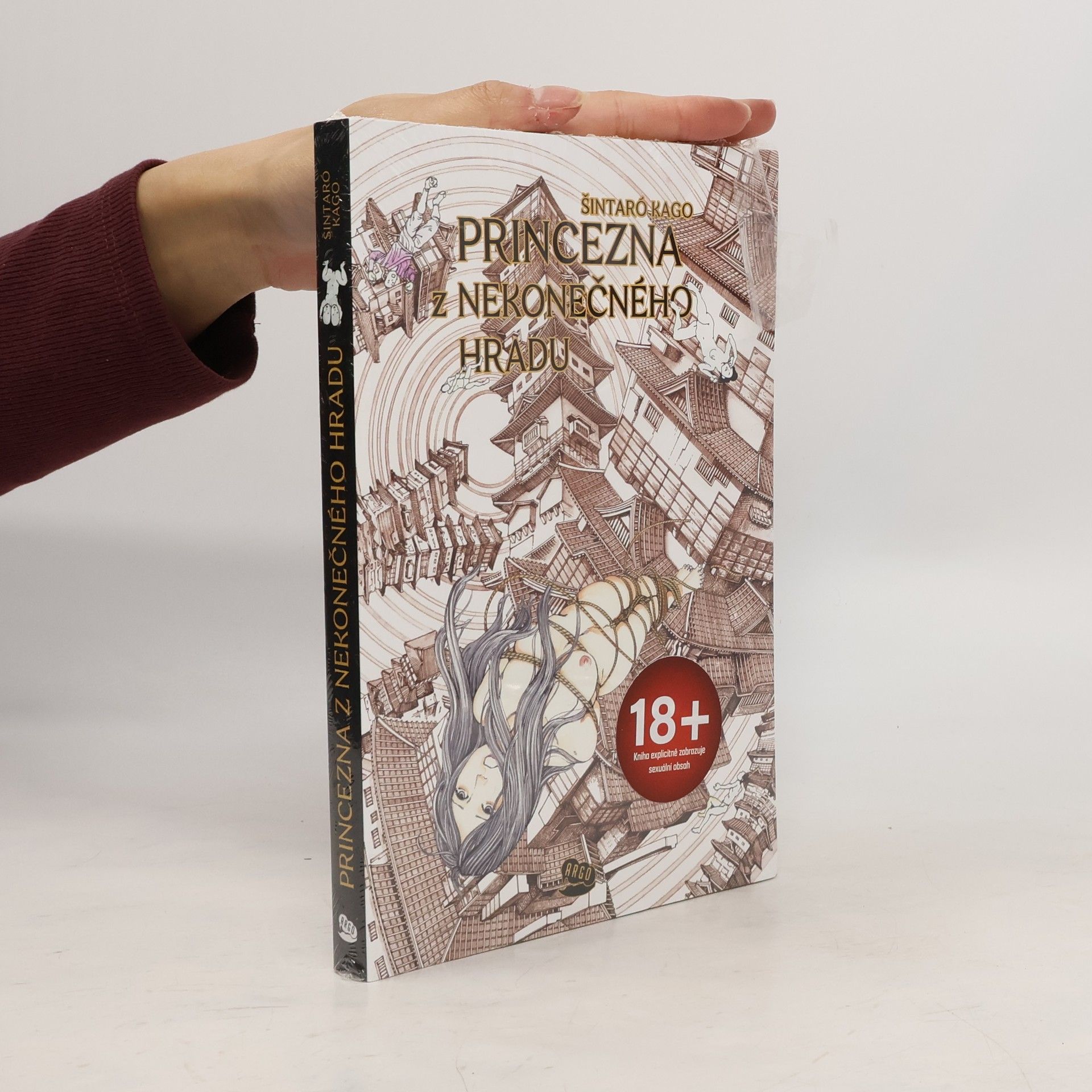 Šintaró Kago Princezna z nekonečného hradu...