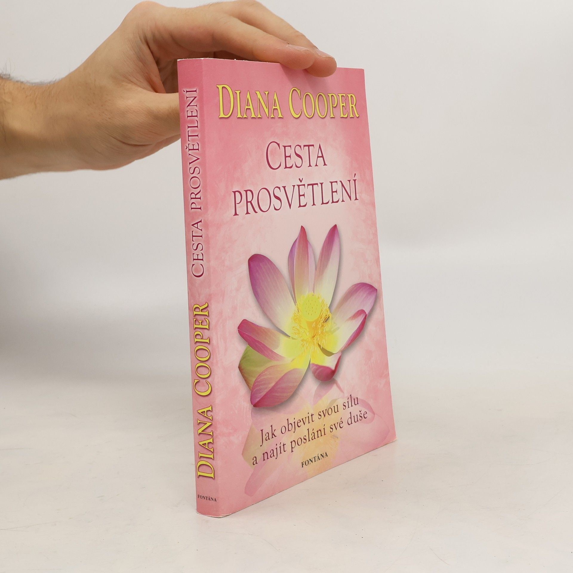 Cesta prosvětlení : jak objevit svou sílu a najít poslání své duše