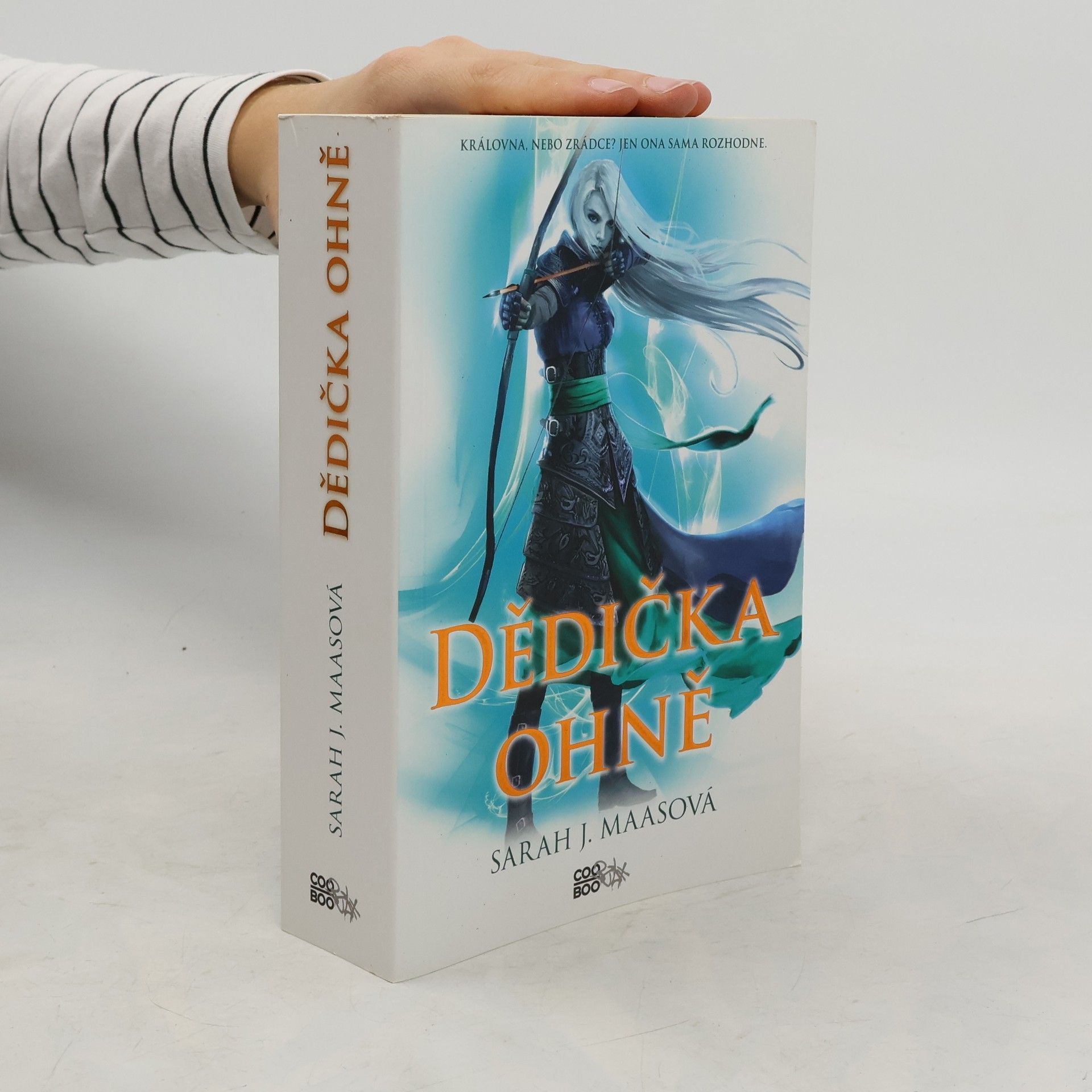 Sarah J. Maas Dědička ohně