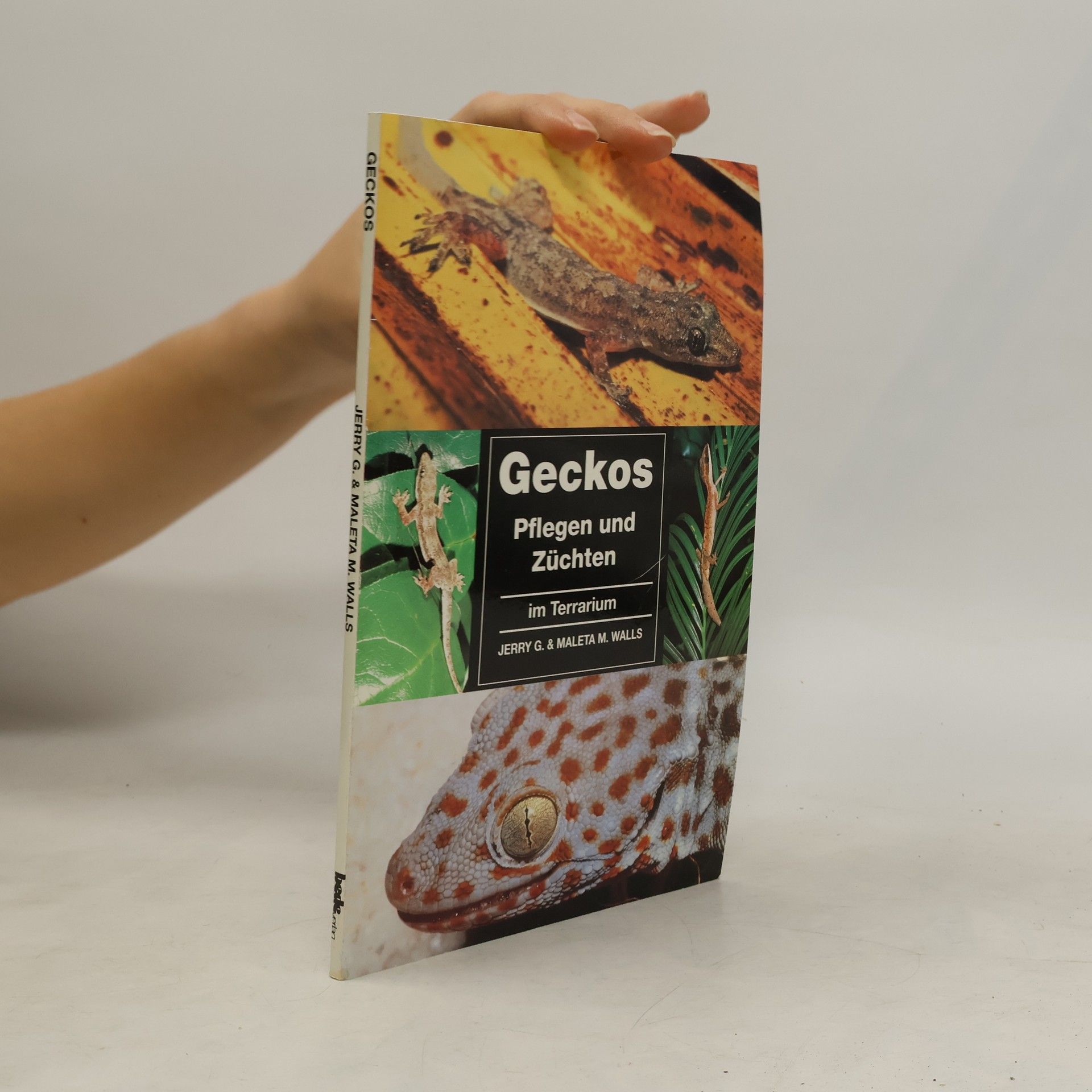 Jerry G. Walls Geckos