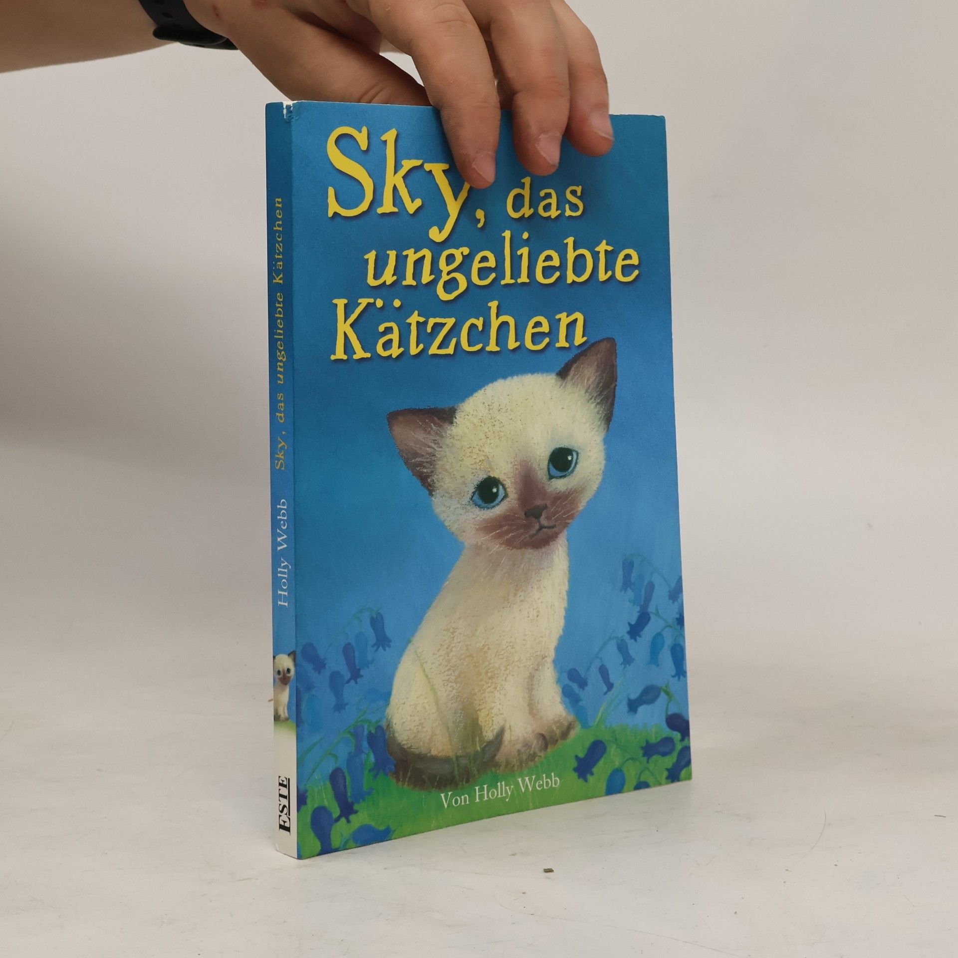 Holly Webb Sky, das ungeliebte Kätzchen