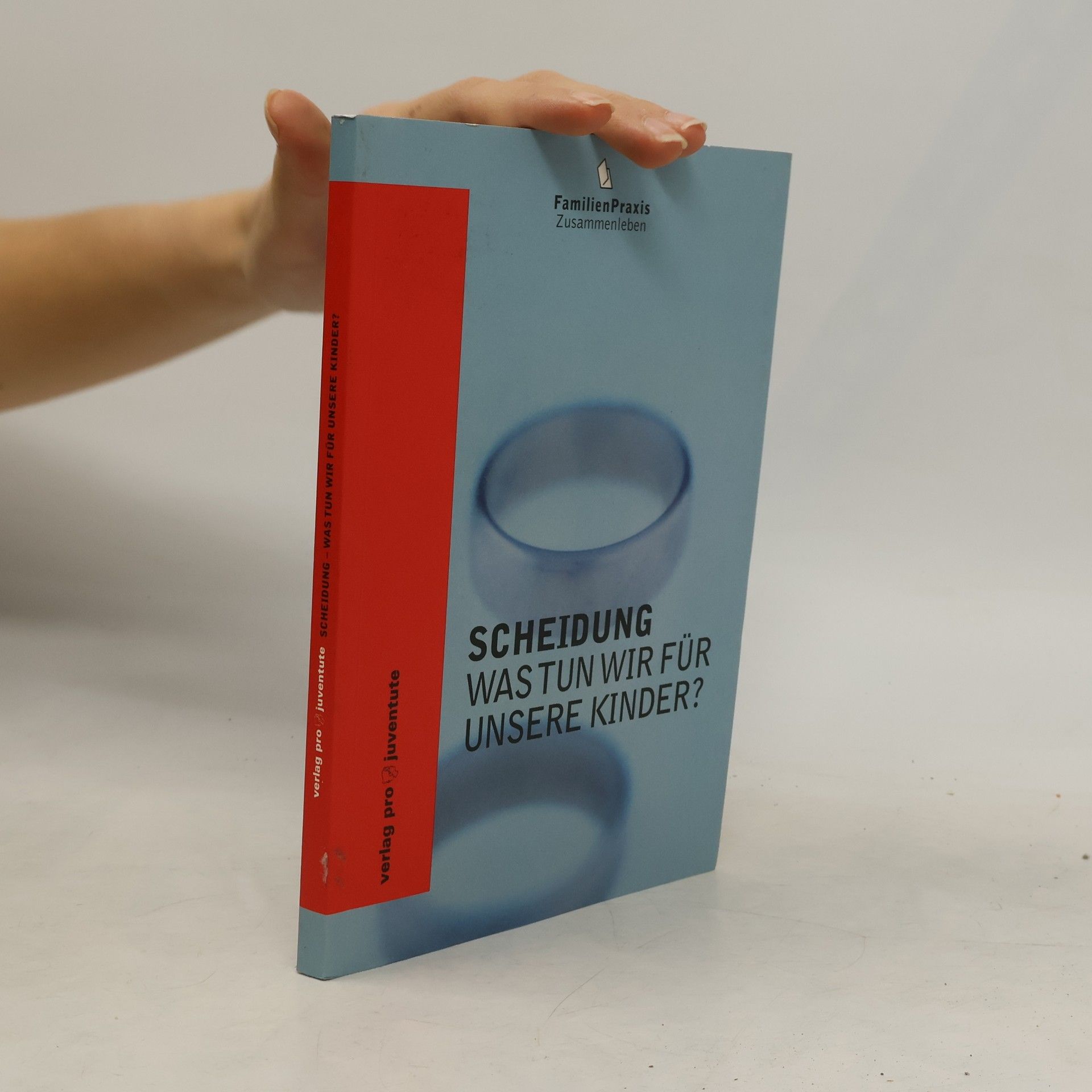 Peter Balscheit- von Sauberzweig Scheidung. was tun wir für unsere Kinder?