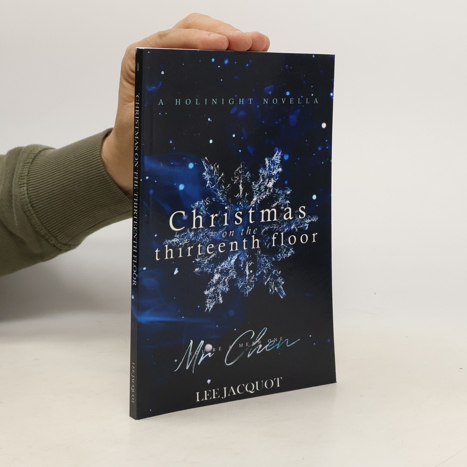 Lee Jacquot Christmas on the Thirteenth Floor