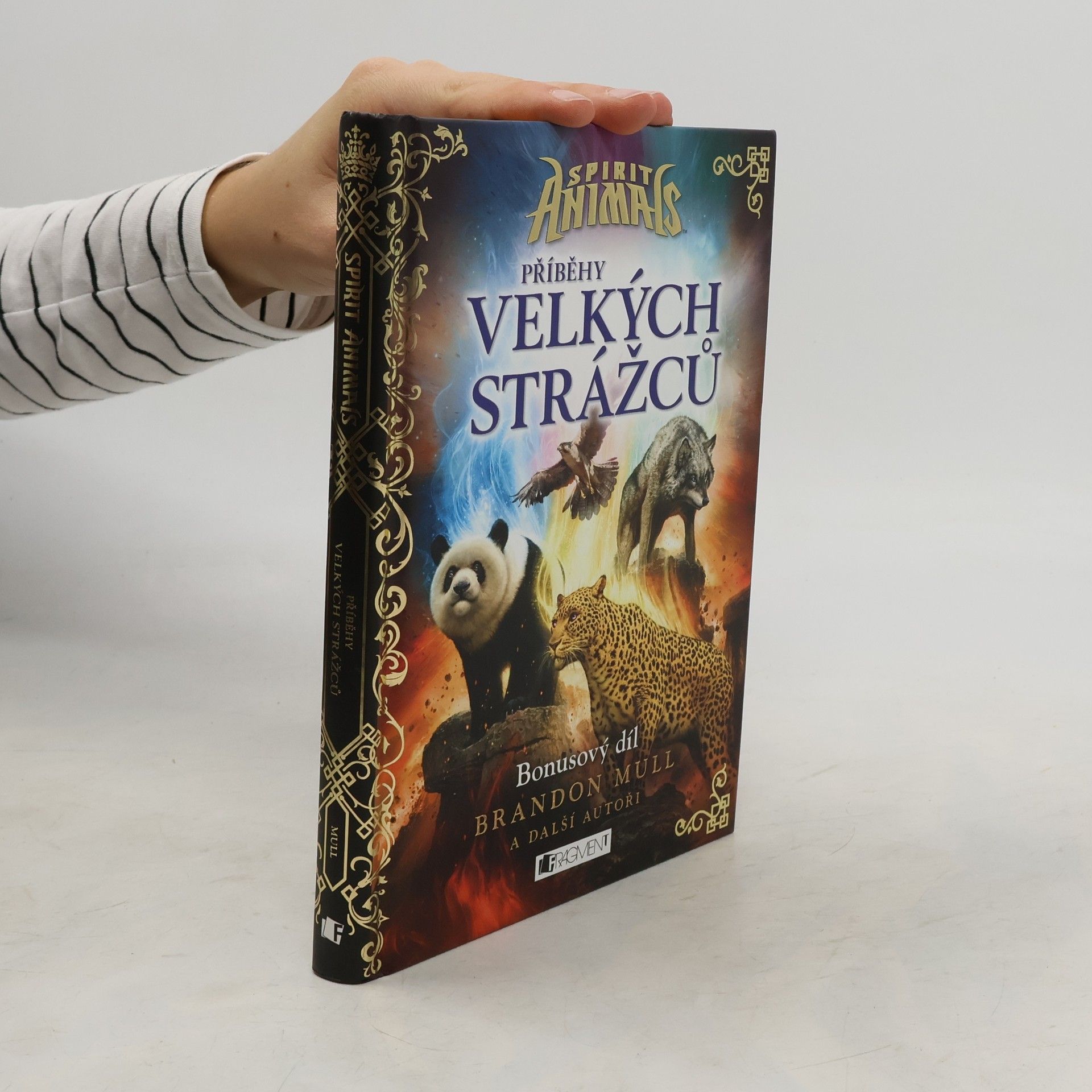 Brandon Mull Příběhy Velkých strážců
