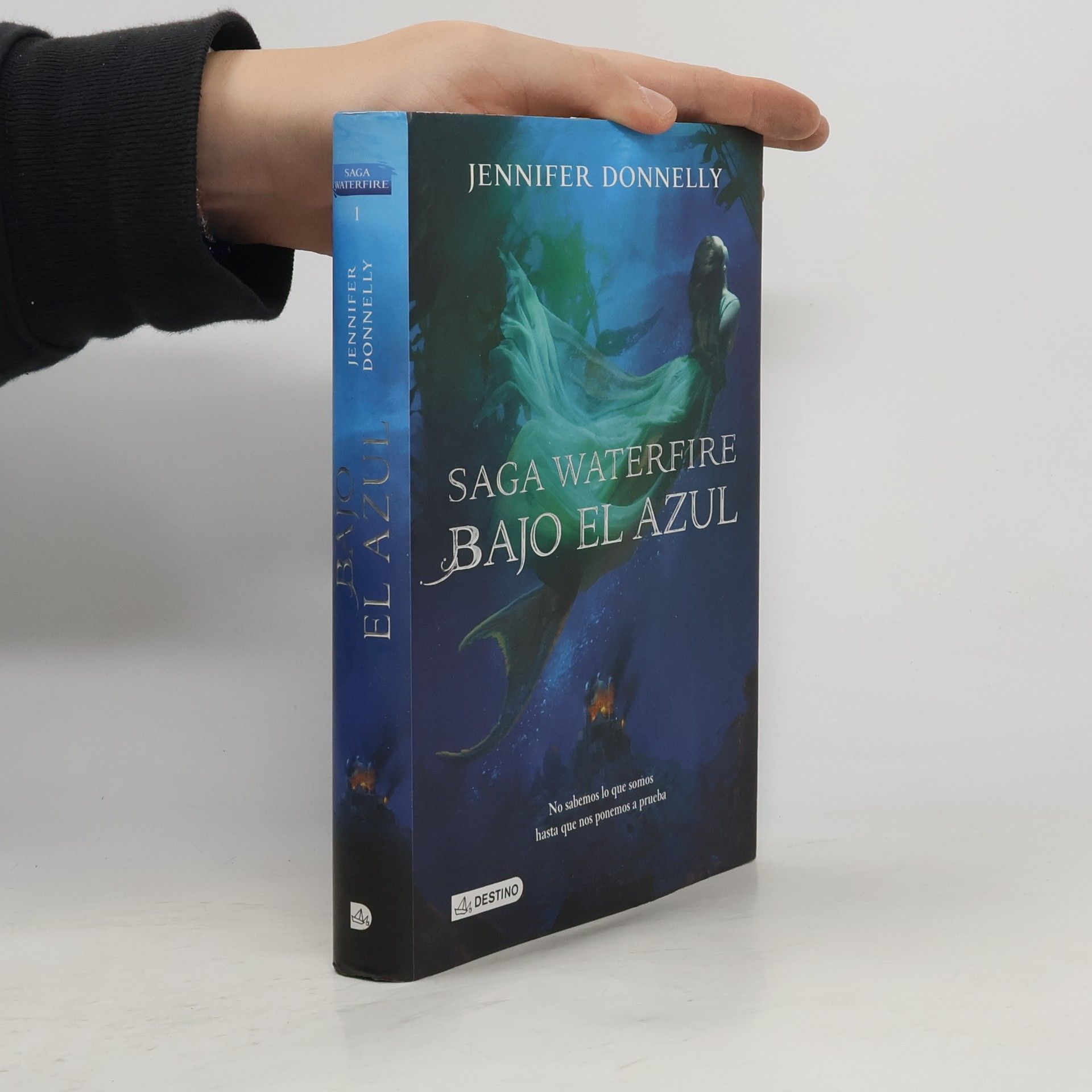 Jennifer Donnelly Bajo el azul