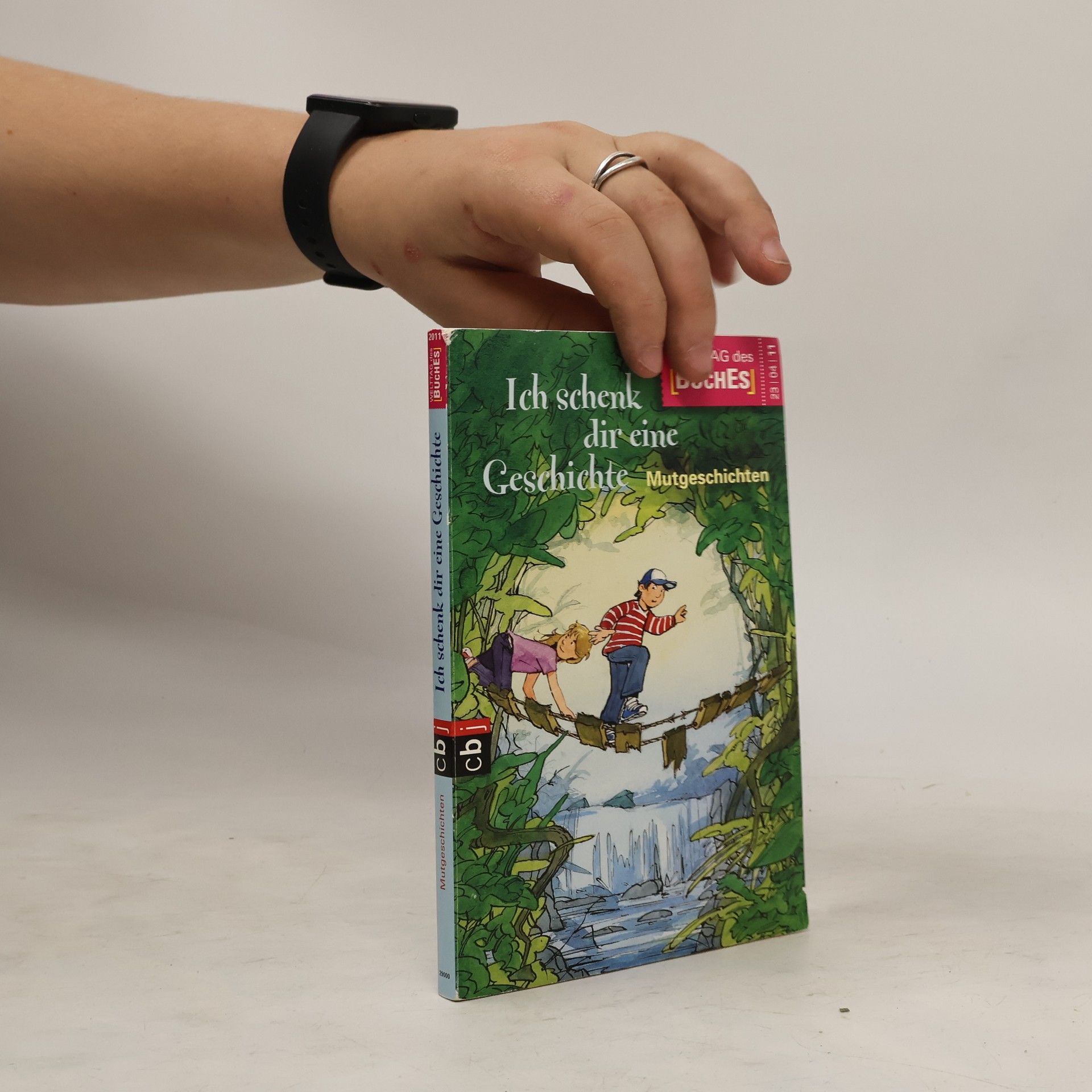 Auteurscollectief Ich schenk dir eine Geschichte