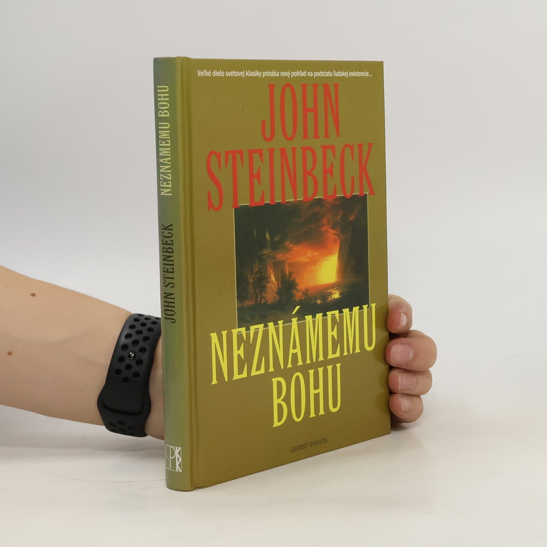 John Steinbeck Neznámemu bohu