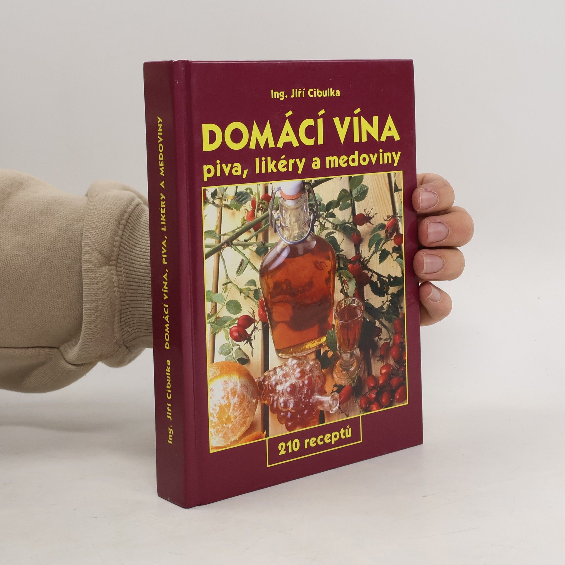 Domácí vína: Piva, likéry a medoviny