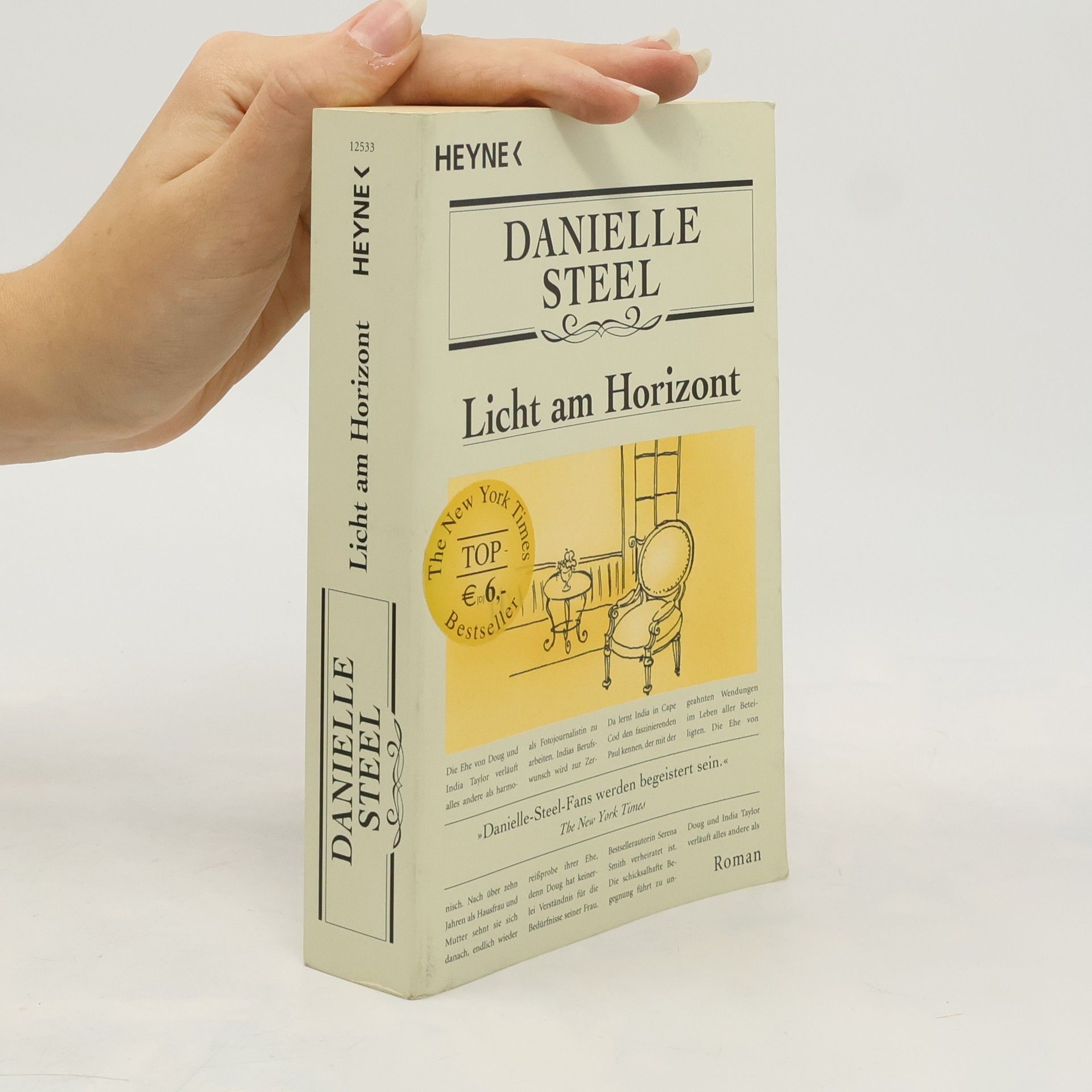 Danielle Steel Licht am Horizont