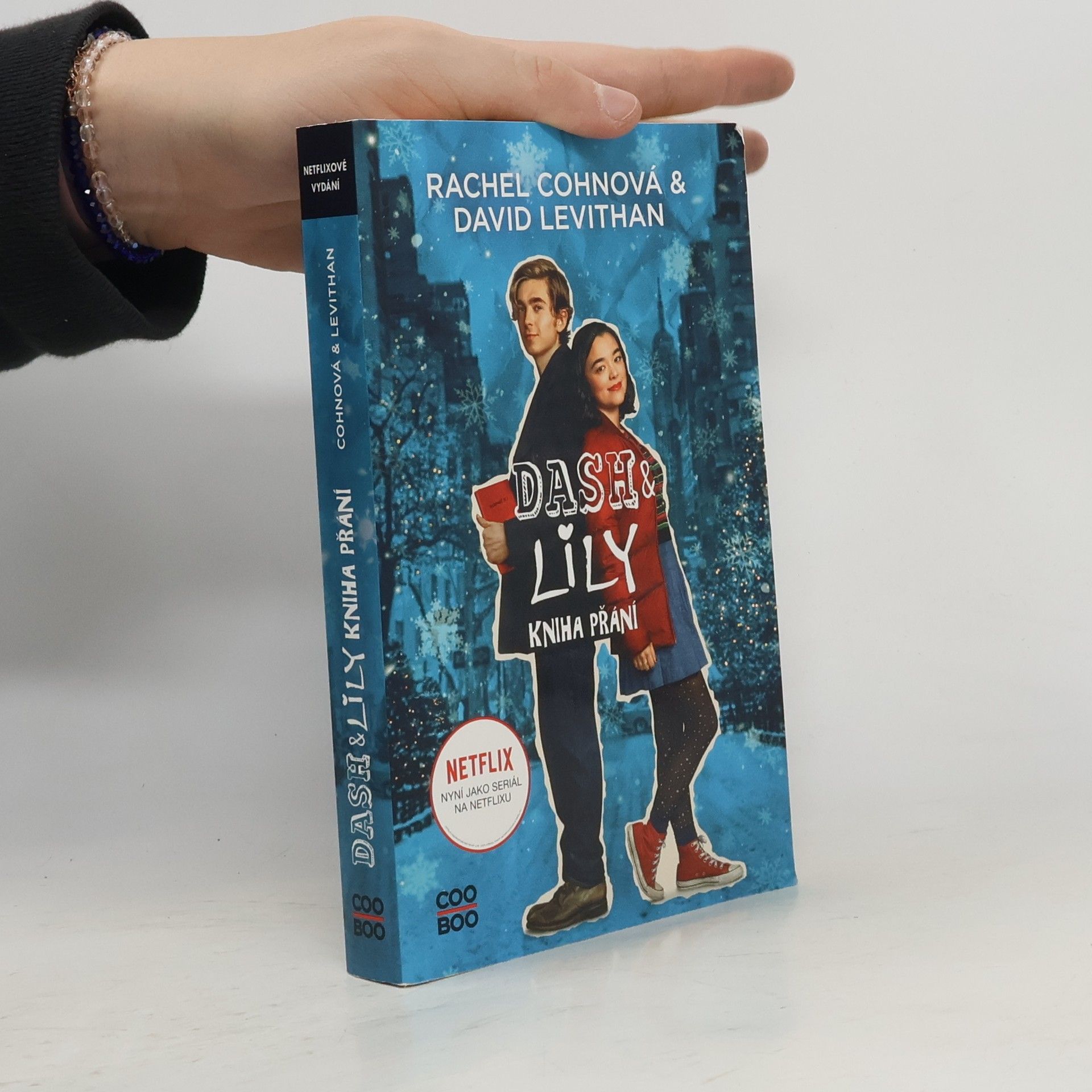 Rachel Cohn Dash & Lily : kniha přání