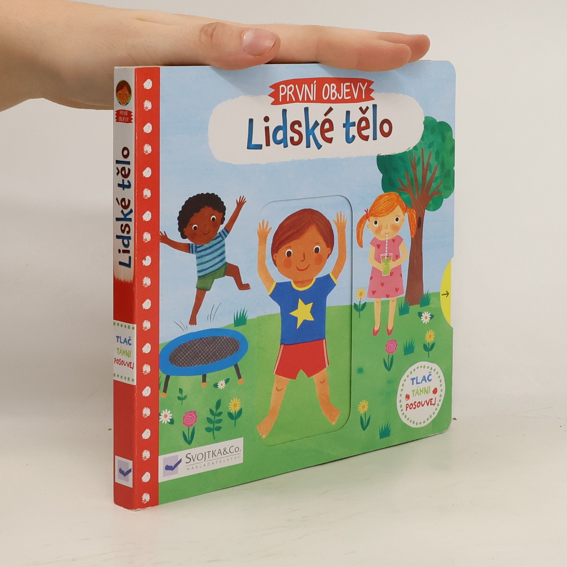 Rebecca Jones Lidské tělo