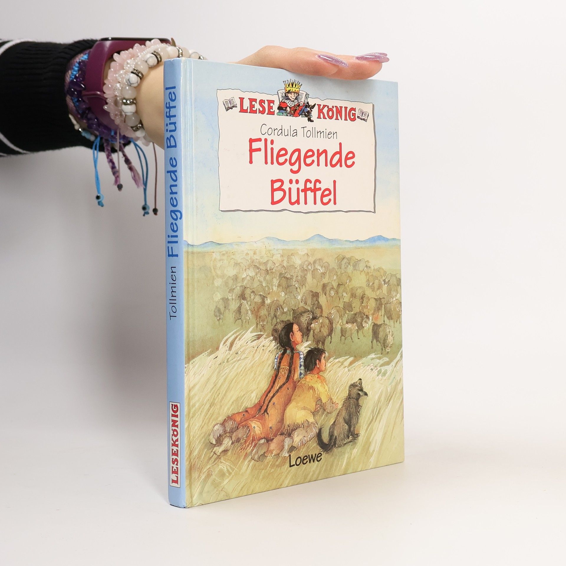 Cordula Tollmien Fliegende Büffel
