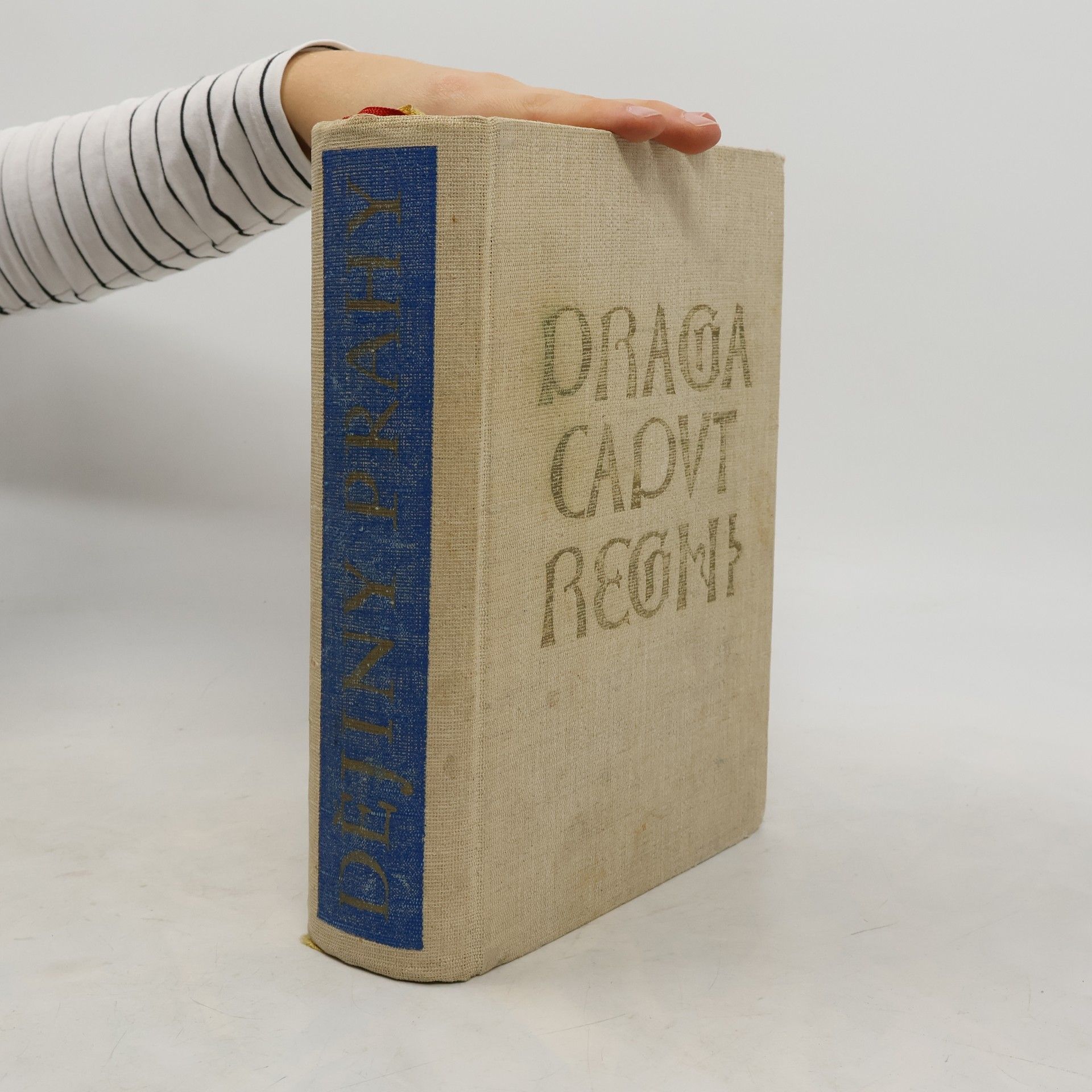 Collectif d'auteurs Dějiny Prahy