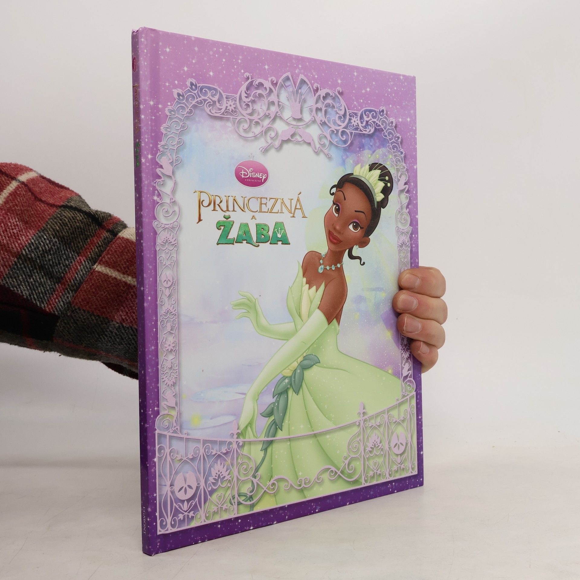 Princezná a žaba