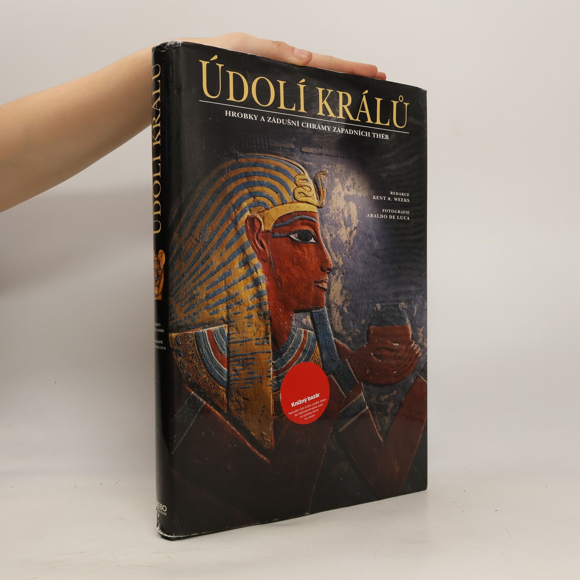 Údolí králů : hrobky a zádušní chrámy západních Théb