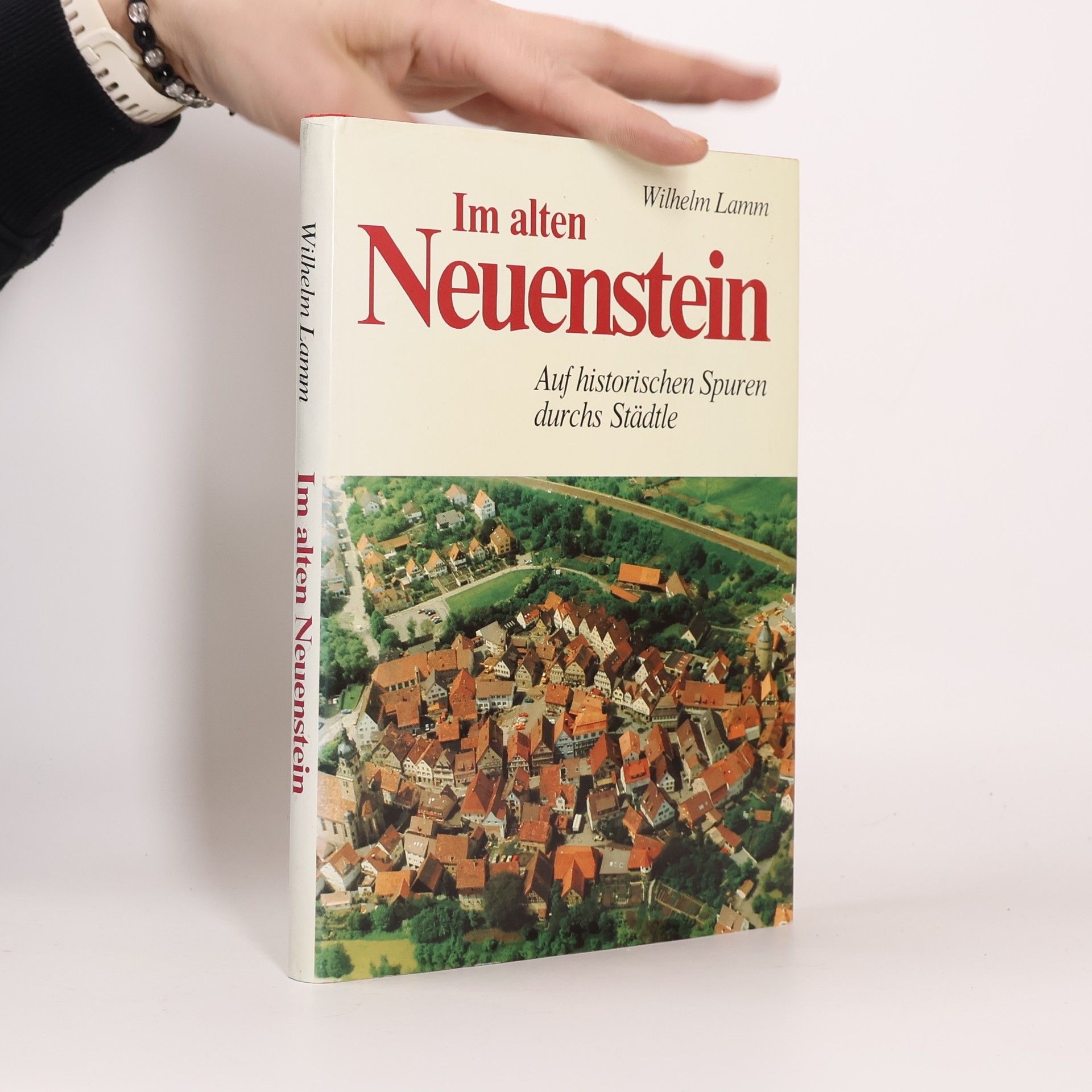 Wilhelm Lamm Im alten Neuenstein