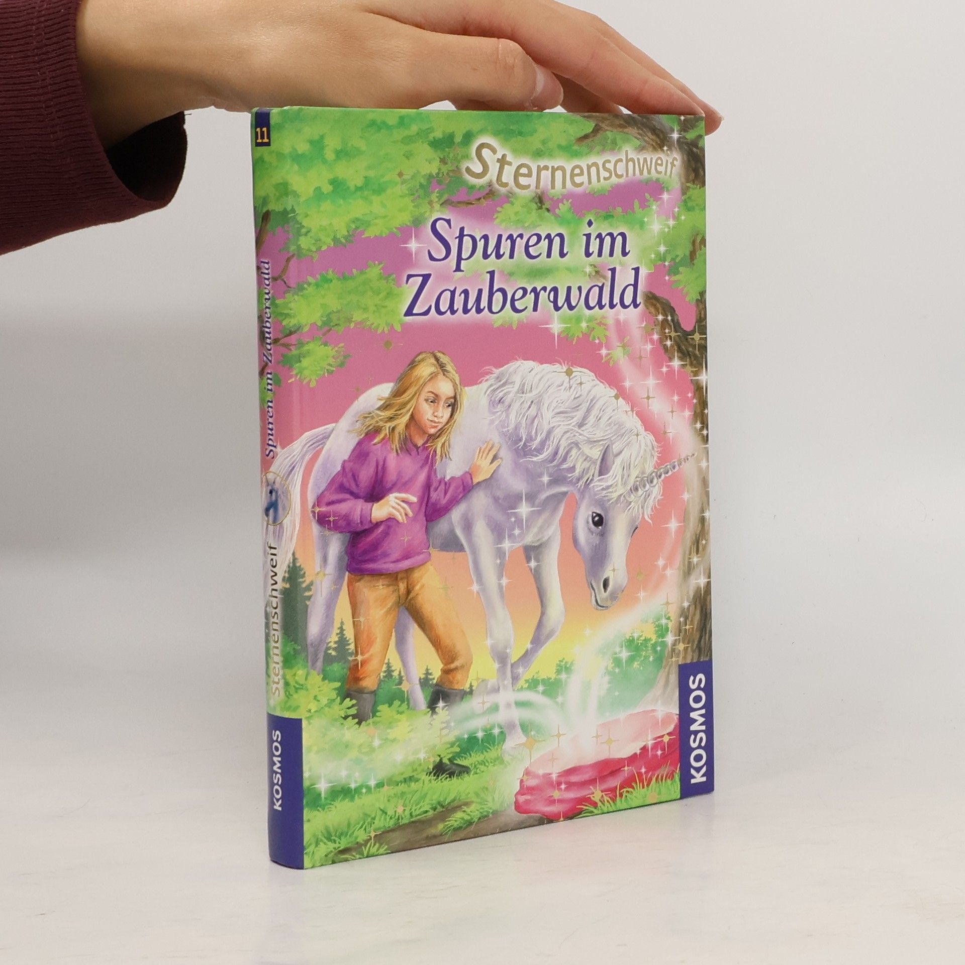 Linda Chapman Sternenschweif. Spuren im Zauberwald 11