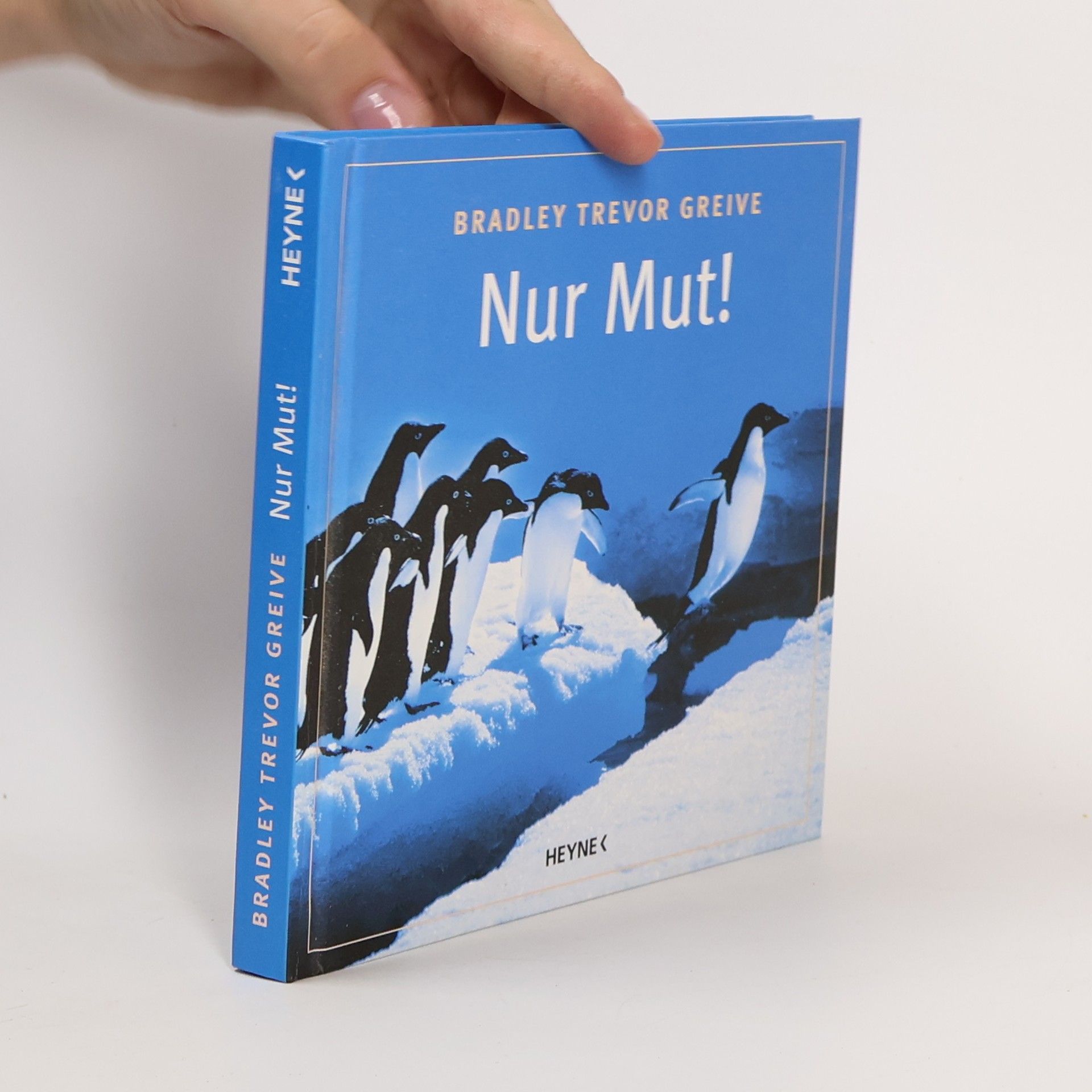 Bradley Trevor Greive Nur Mut!