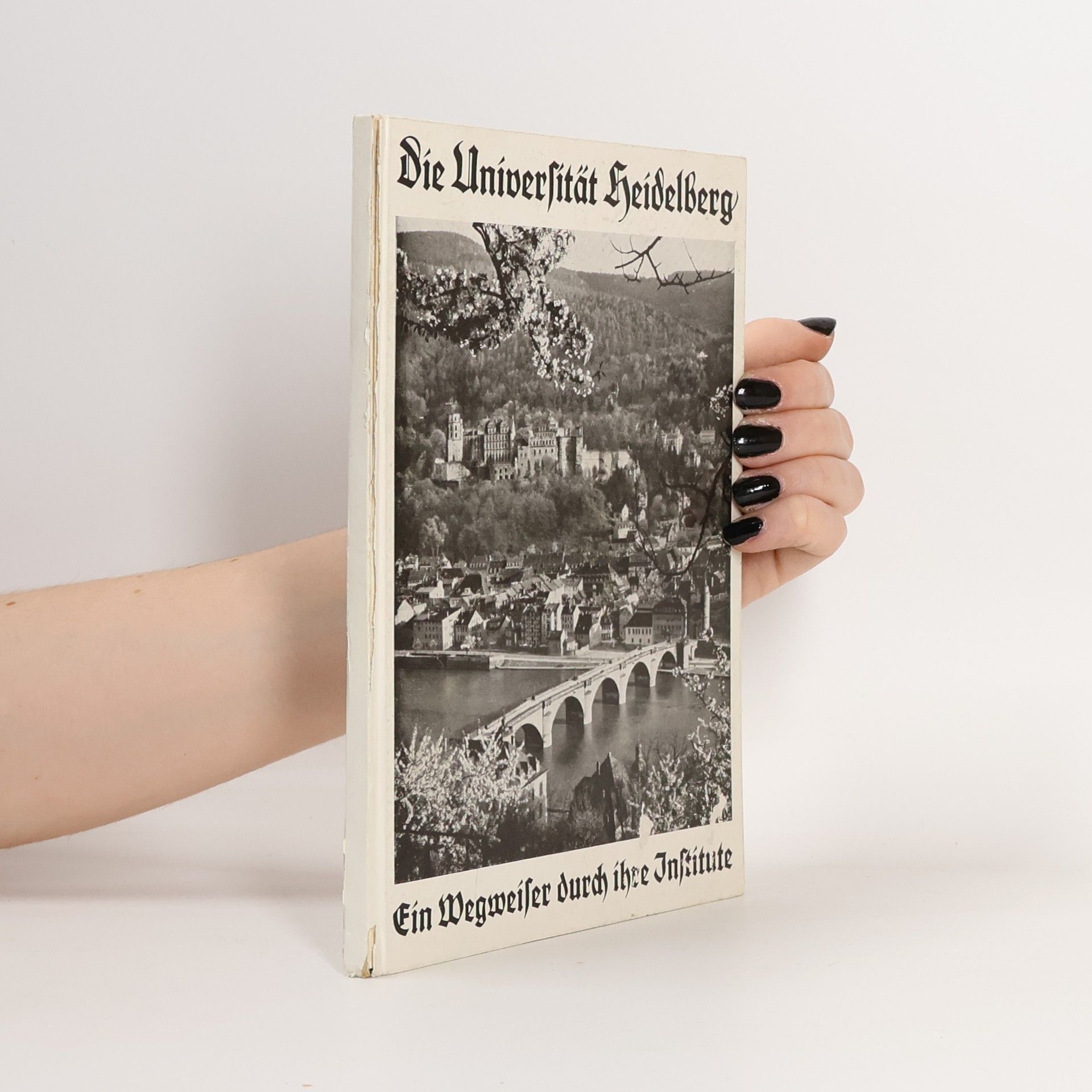 Collectif d'auteurs Die Universität Heidelberg: Ein Wegmeiser durch ihre Institute