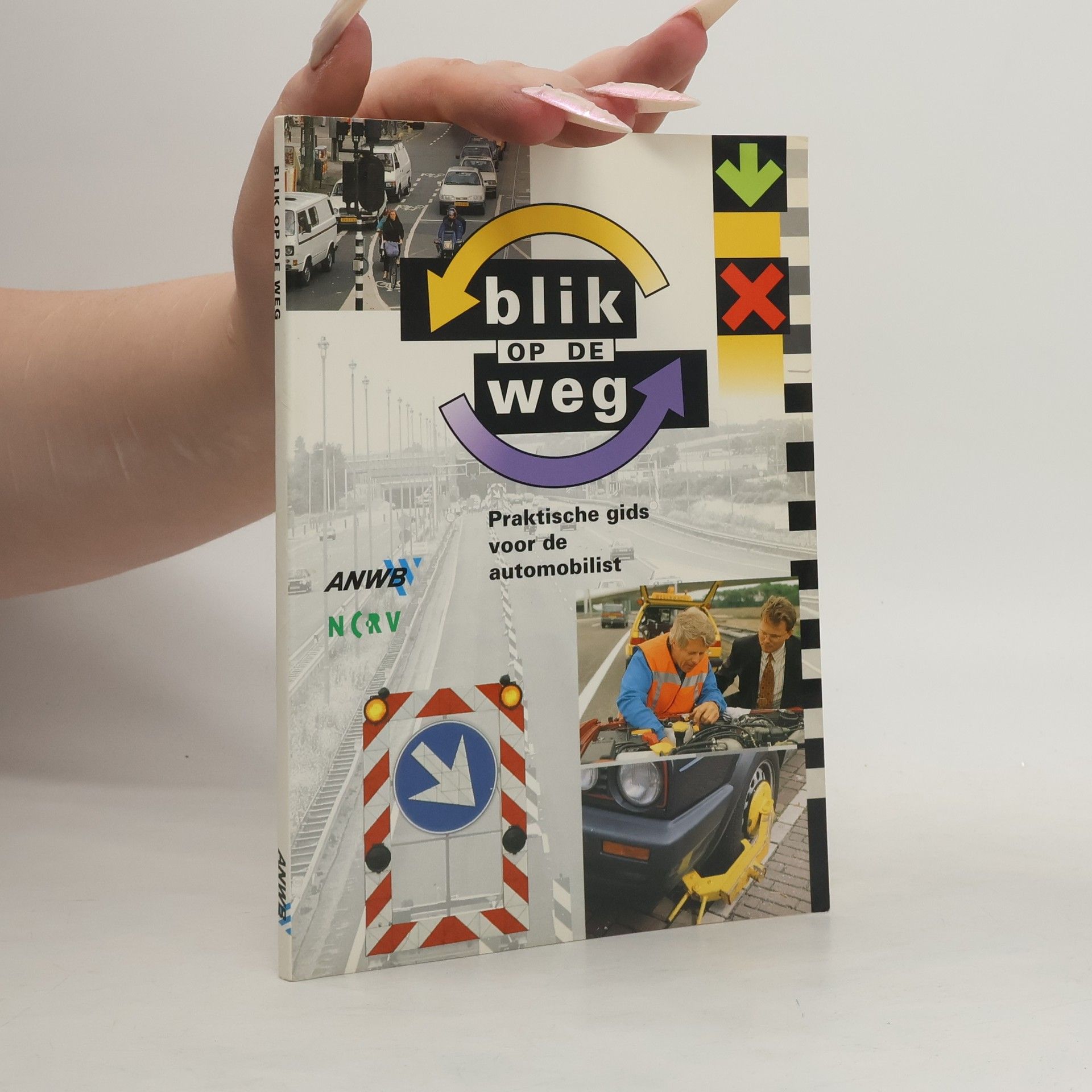 Paul Vreuls Blik op de weg