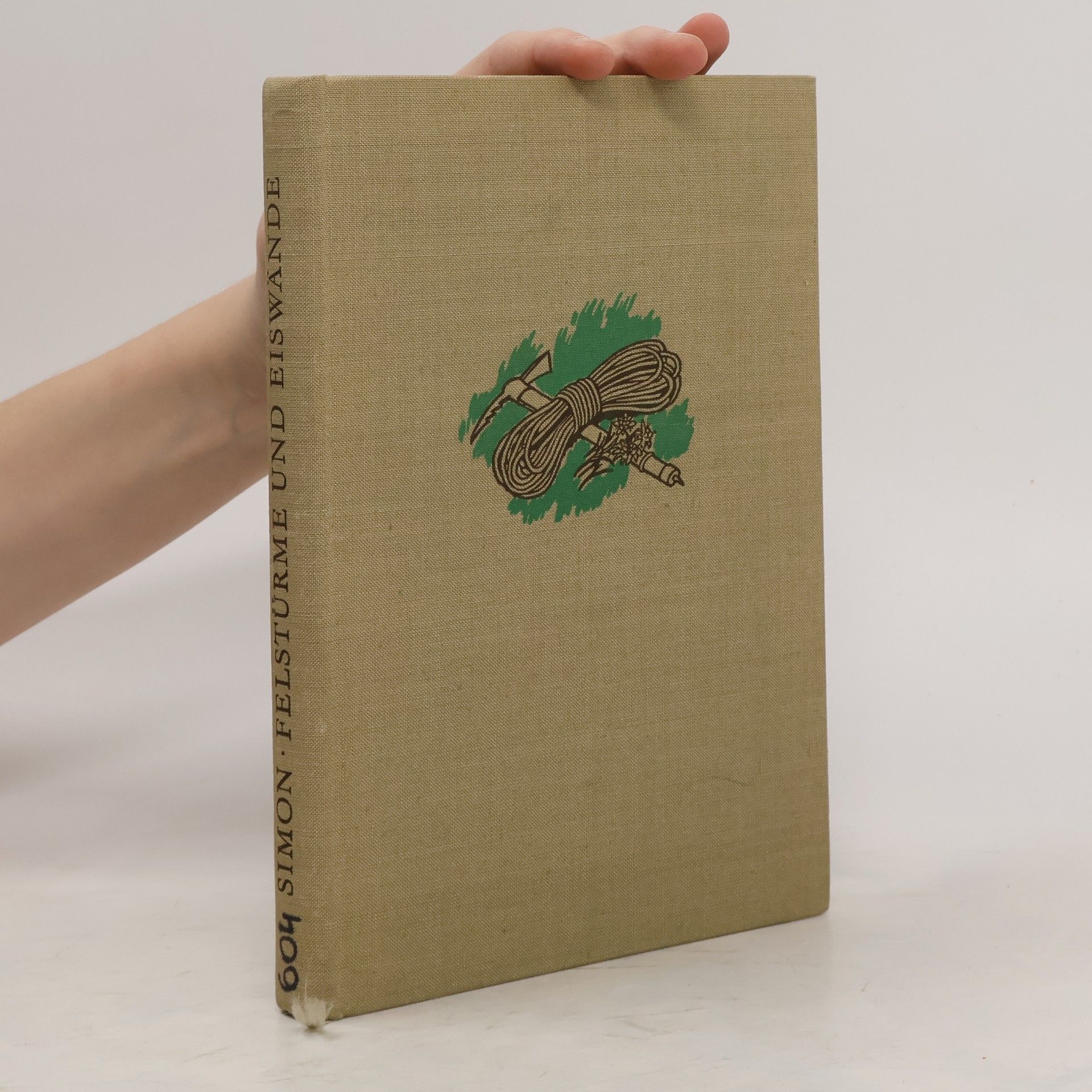 Felix Simon Felstürme und Eiswände