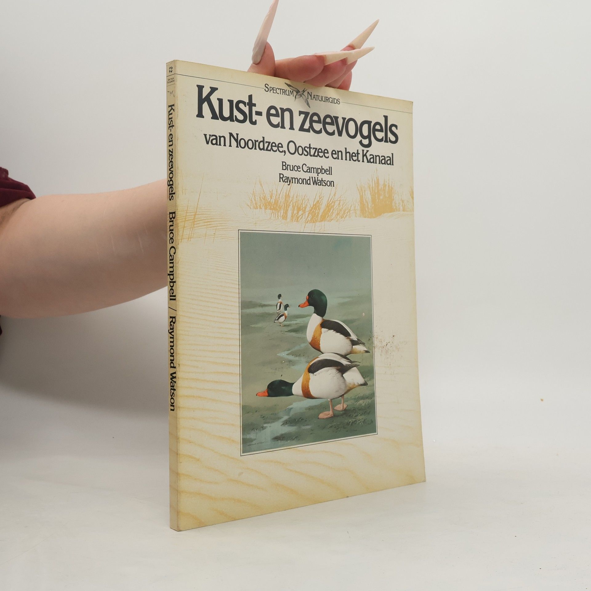 Kust- en zeevogels van Noordzee, Oostzee en het Kanaal