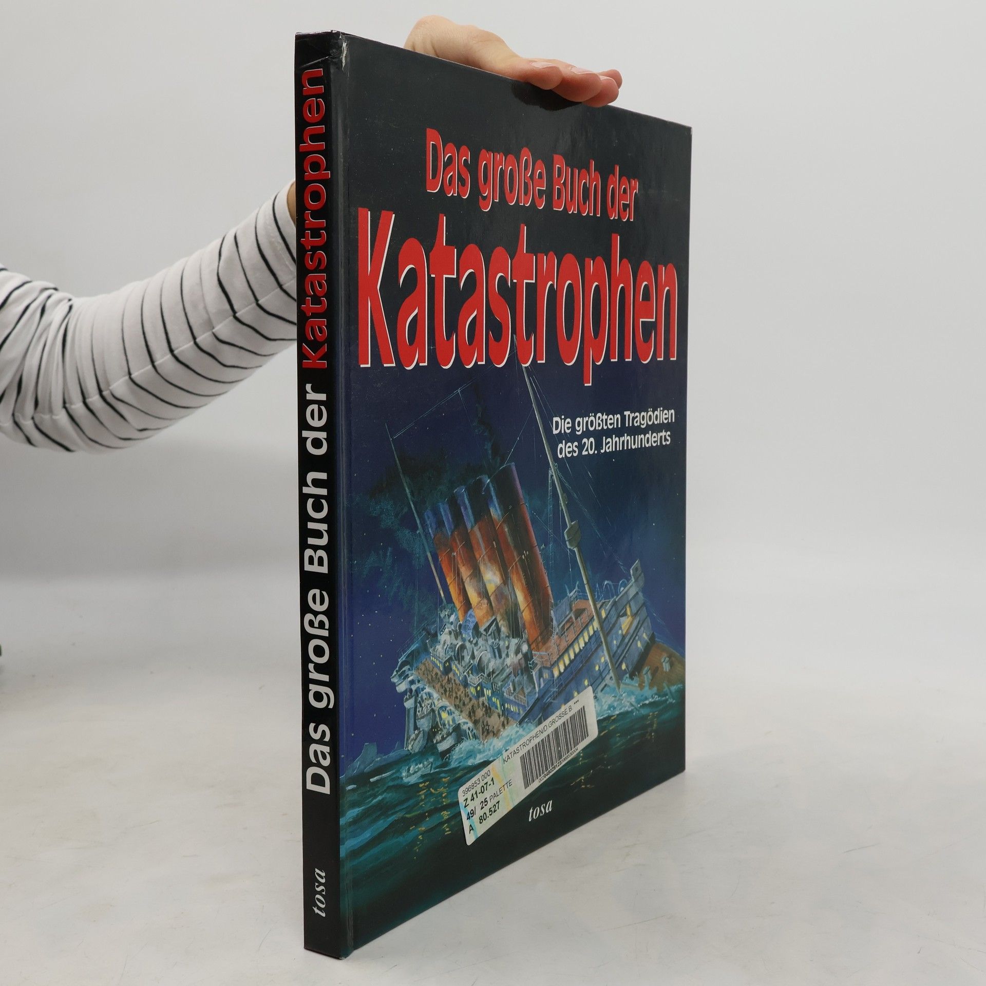 Sabine Kurz Das grosse Buch der Katastrophen