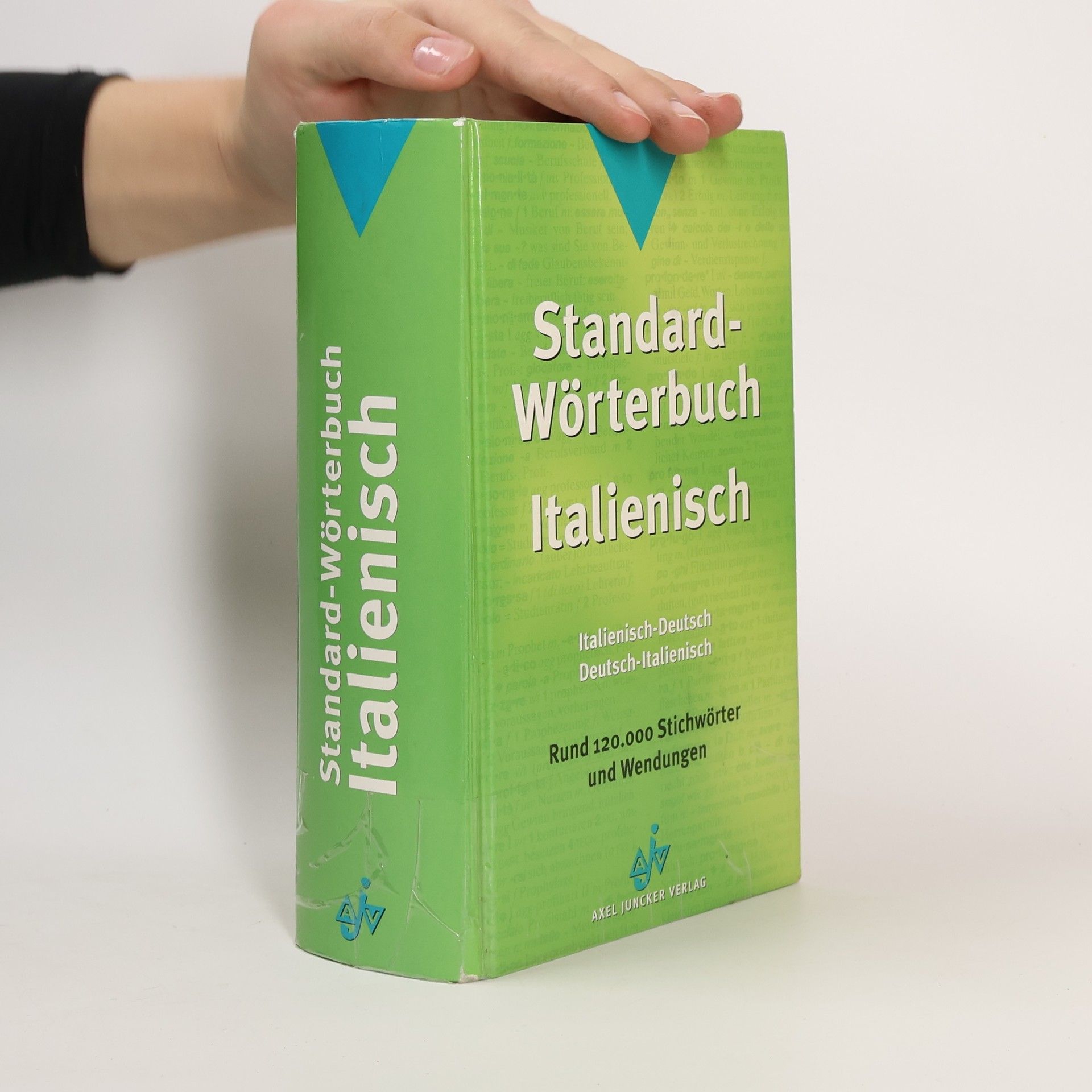 Autorenkollektiv Standard-Wörterbuch Italienisch