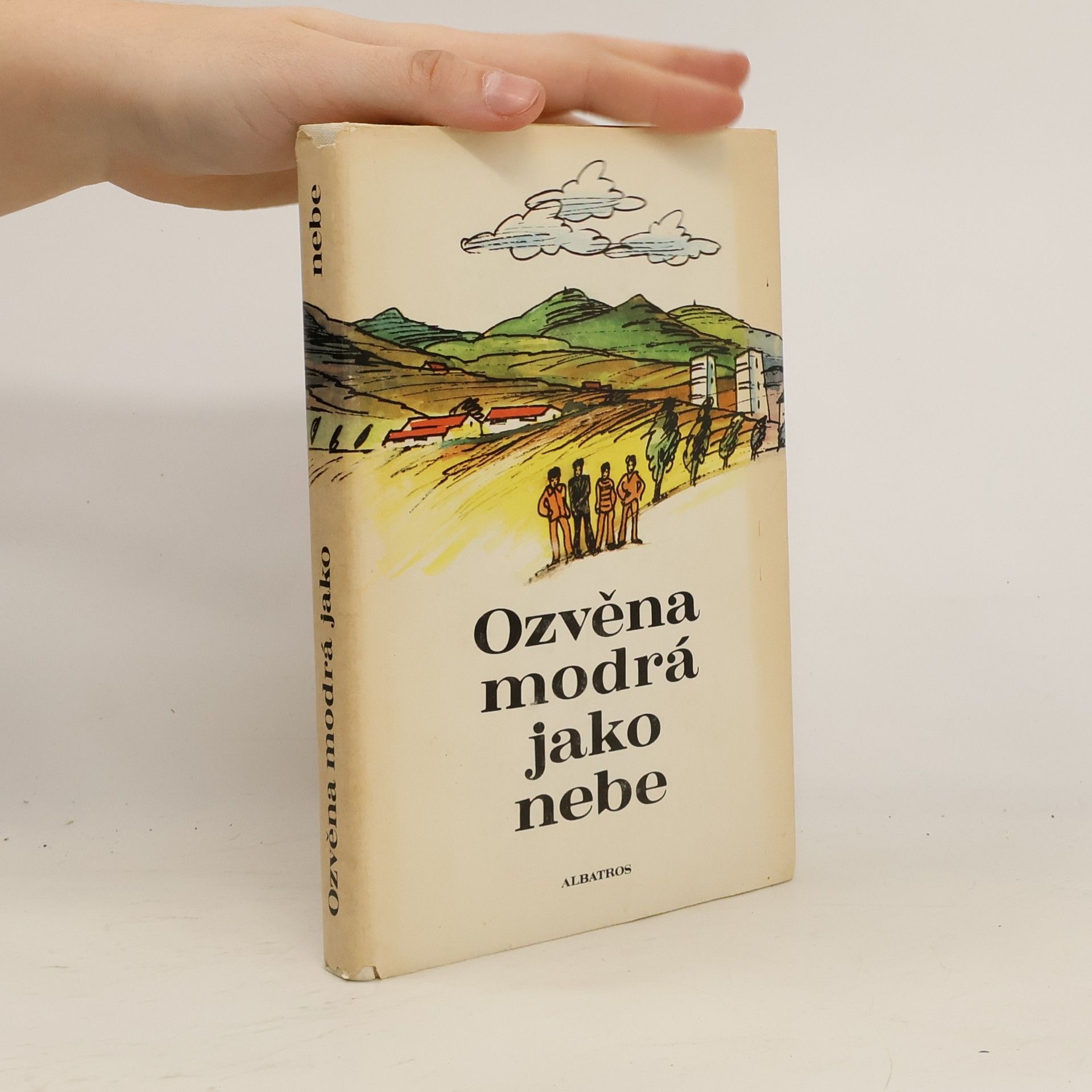 Auteurscollectief Ozvěna modrá jako nebe. Sborník povídek o dětech