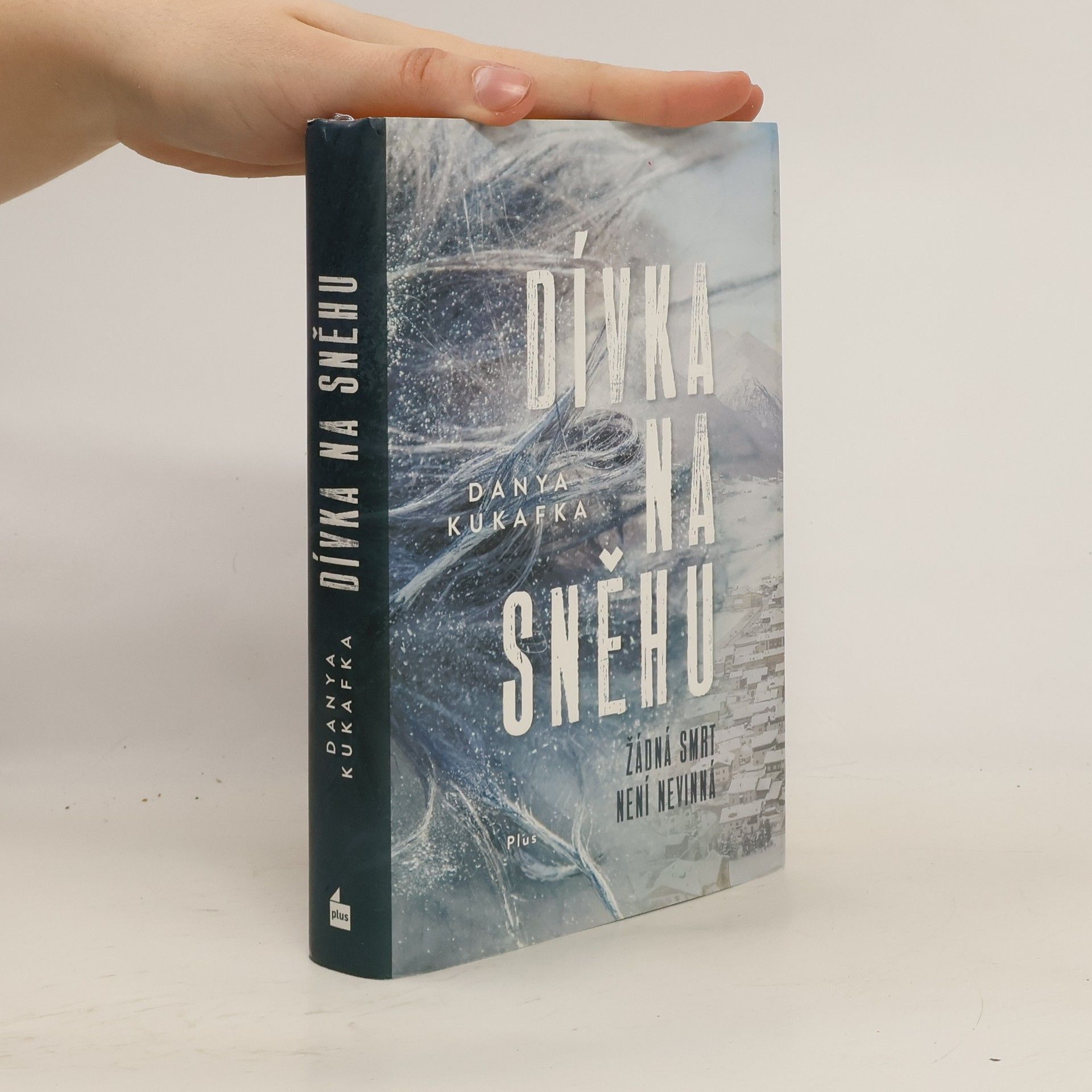 Danya Kukafka Dívka na sněhu