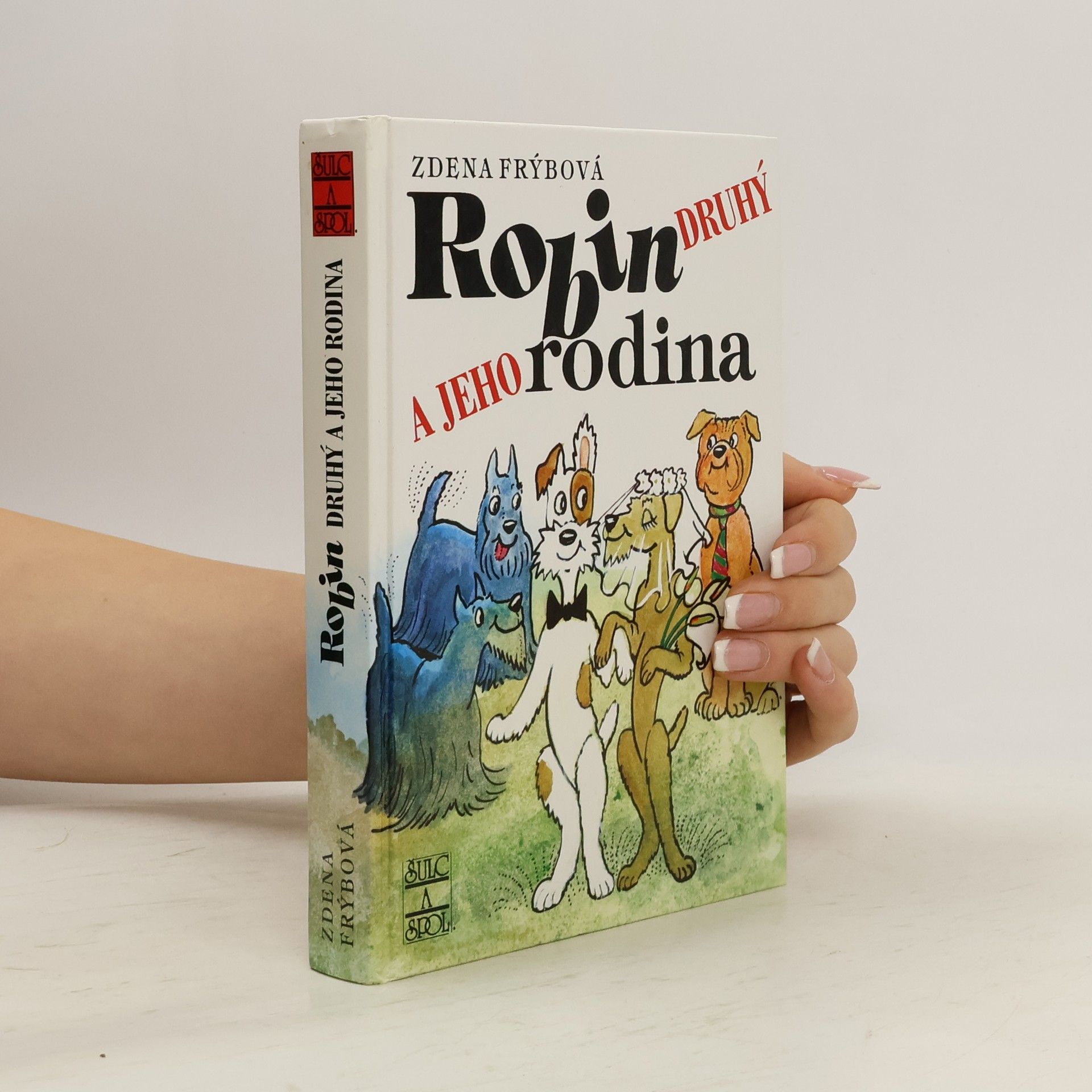 Robin Druhý a jeho rodina