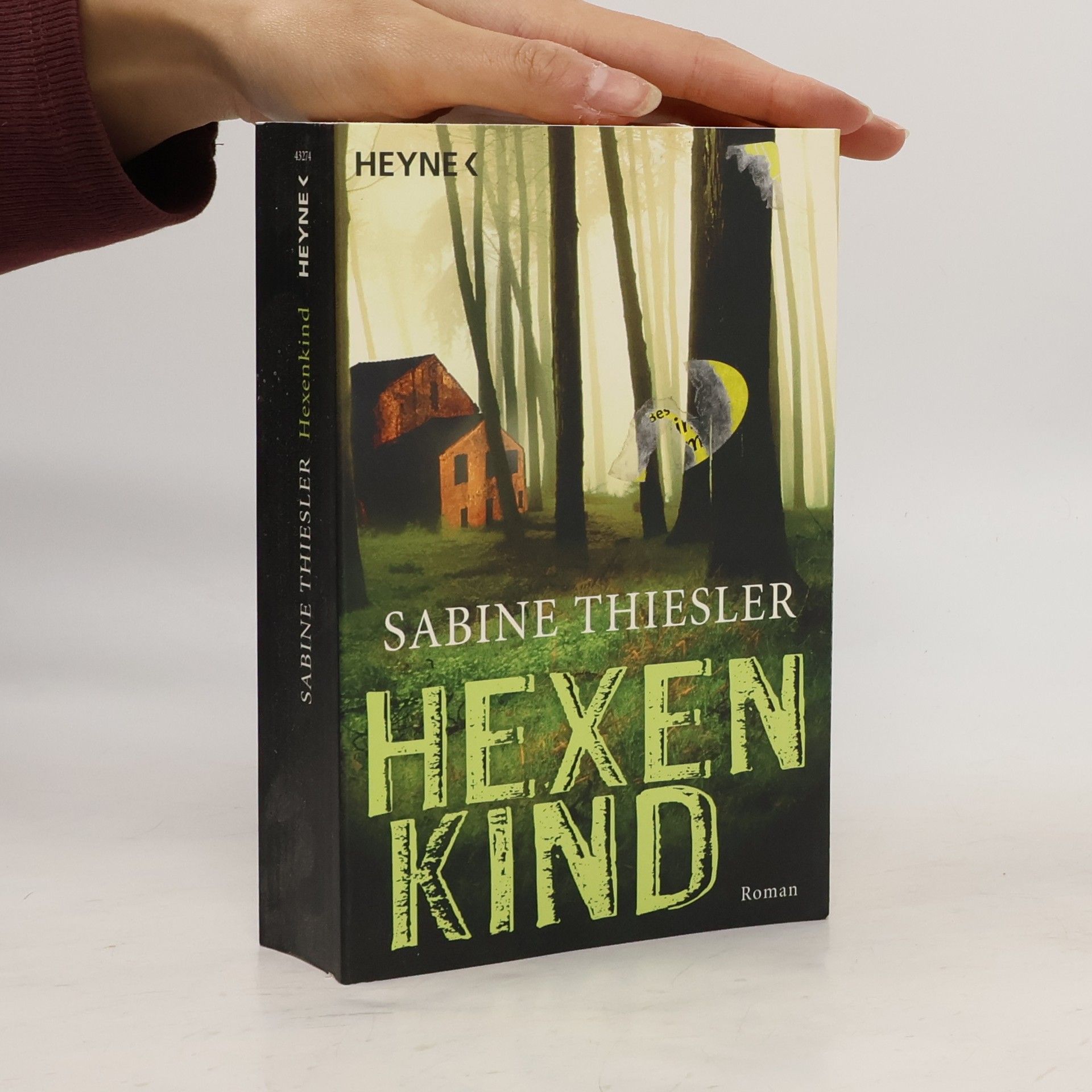 Sabine Thiesler Hexenkind - Roman