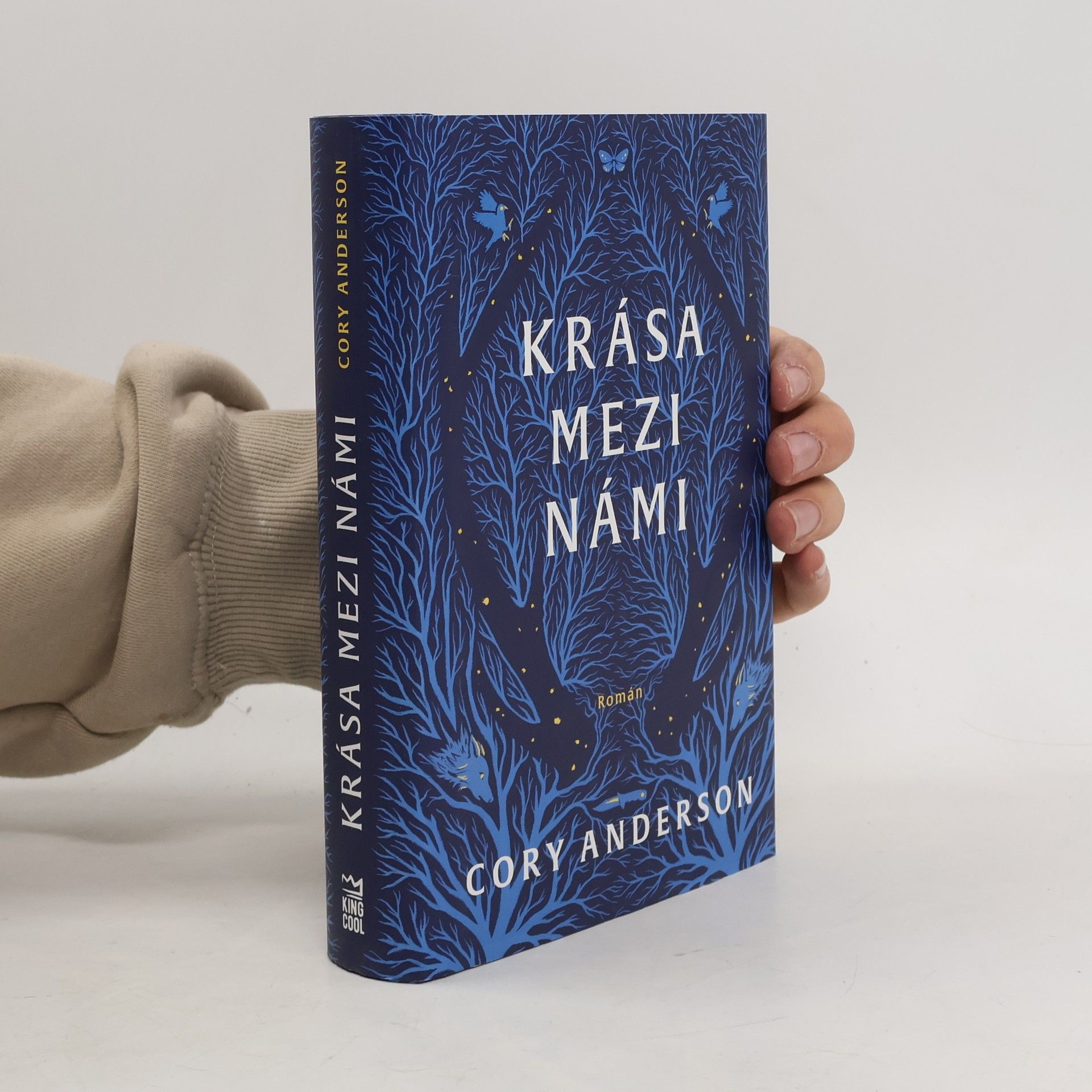 Cory L. Anderson Krása mezi námi