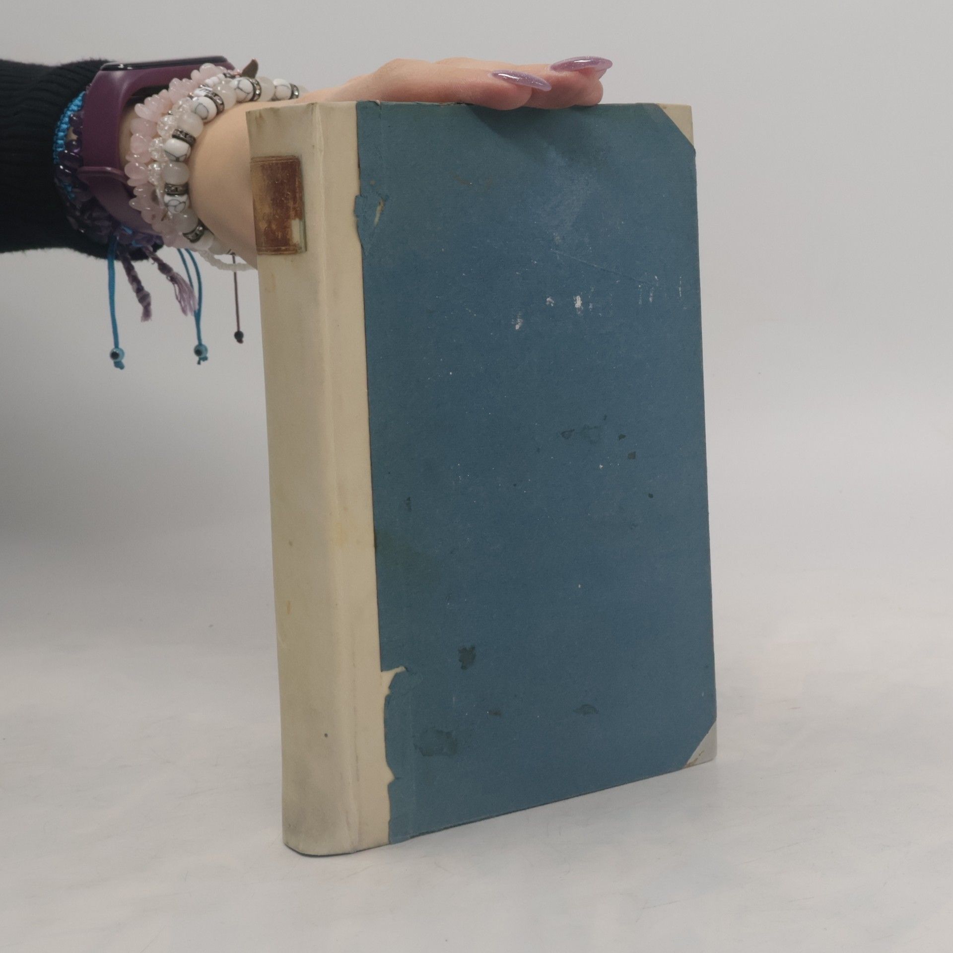 Theodor Storms Sämtliche Werke 6