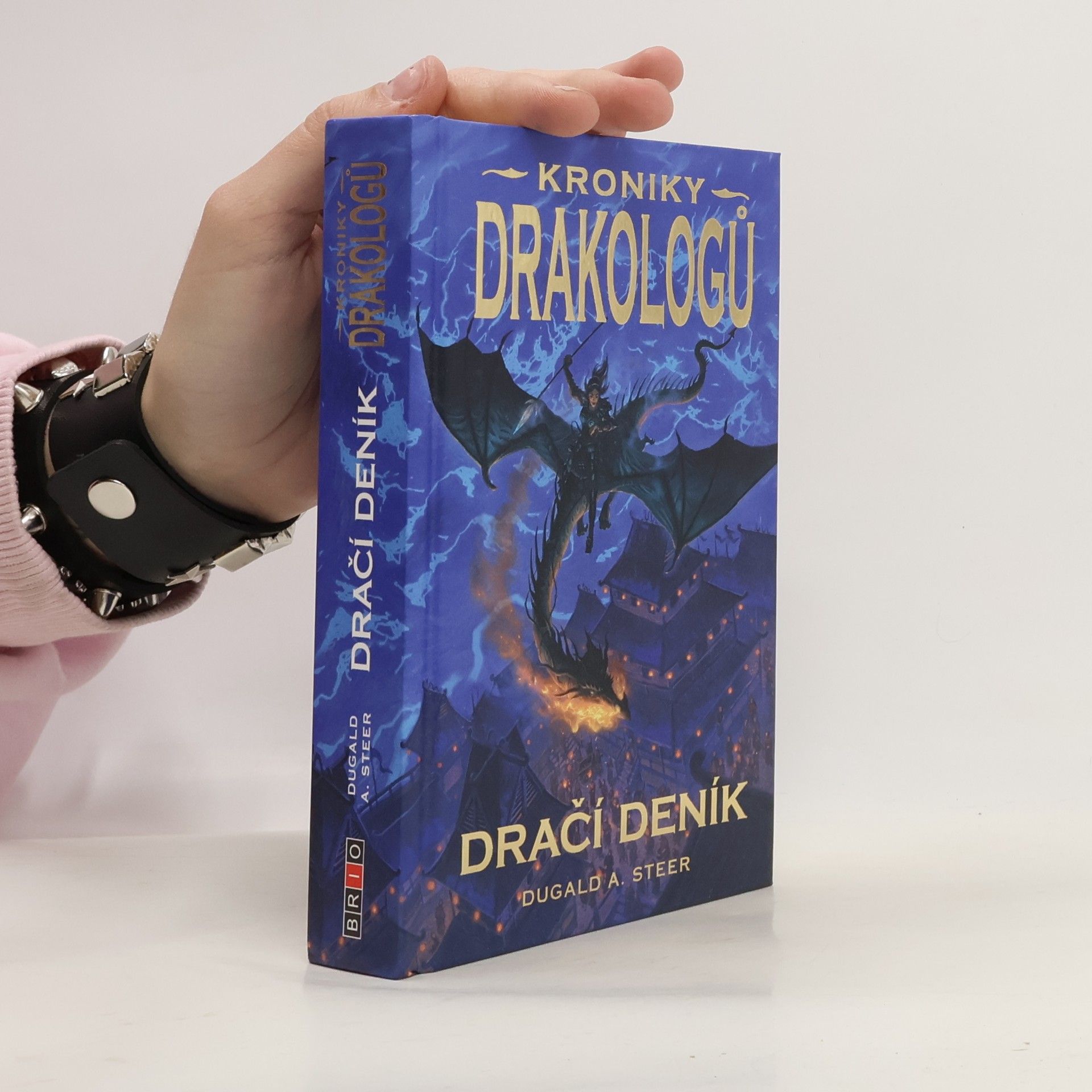 Dugald Steer Dračí deník