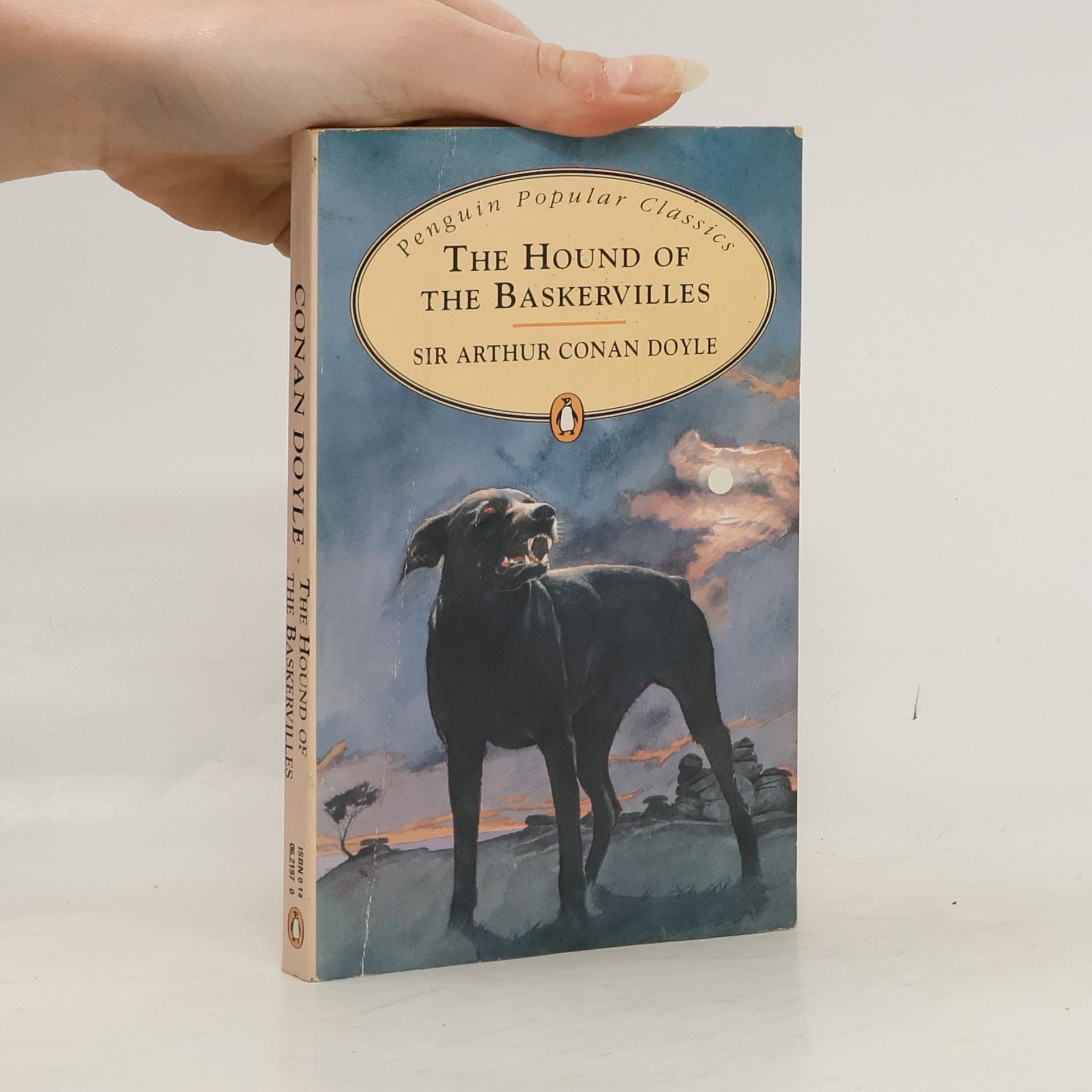 The Hound of the Baskervilles