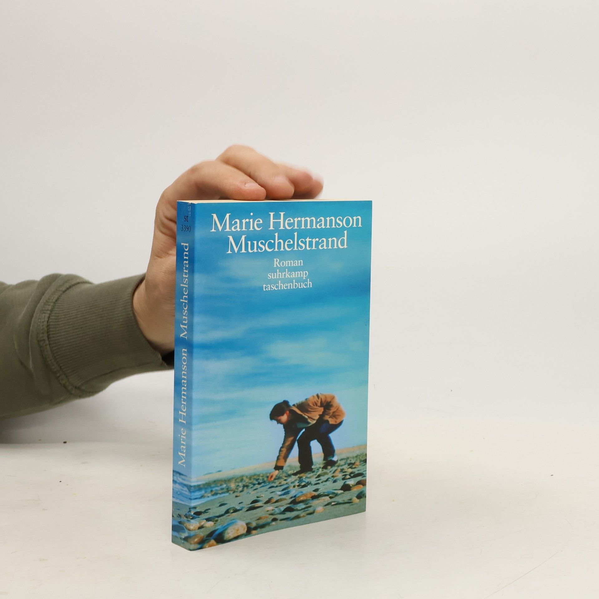 Marie Hermanson Muschelstrand