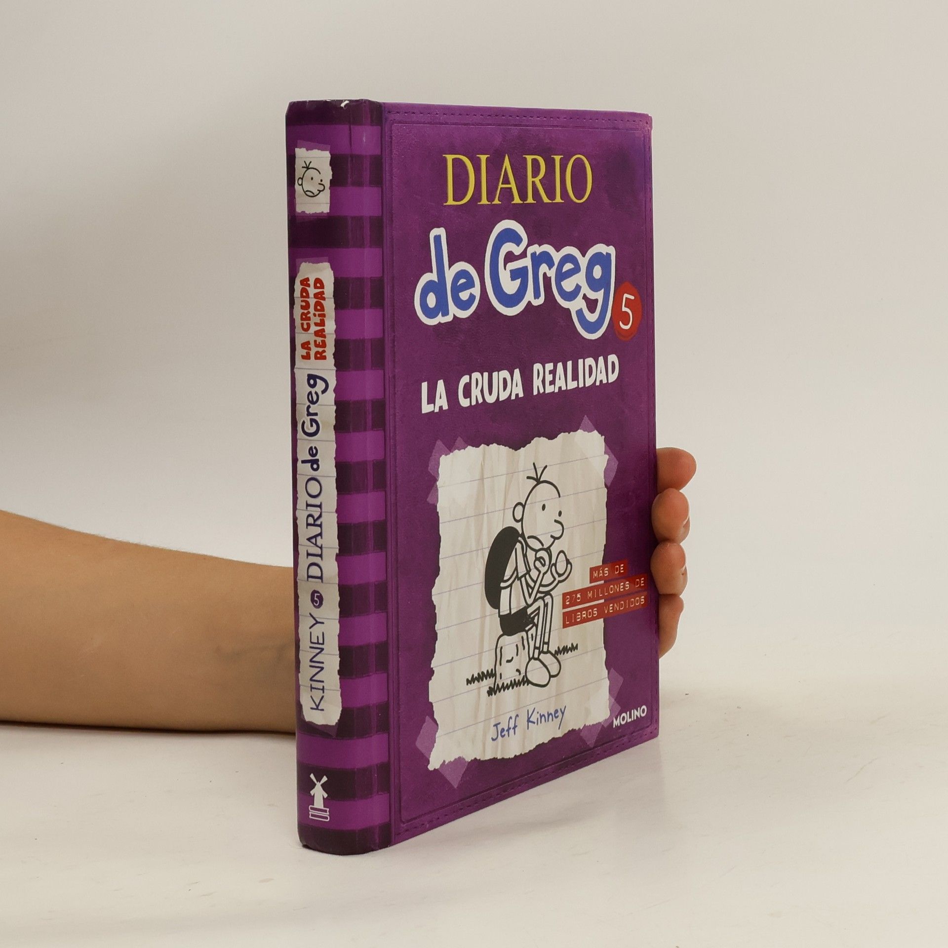 Jeff Kinney Diario de Greg 5. La cruda realidad
